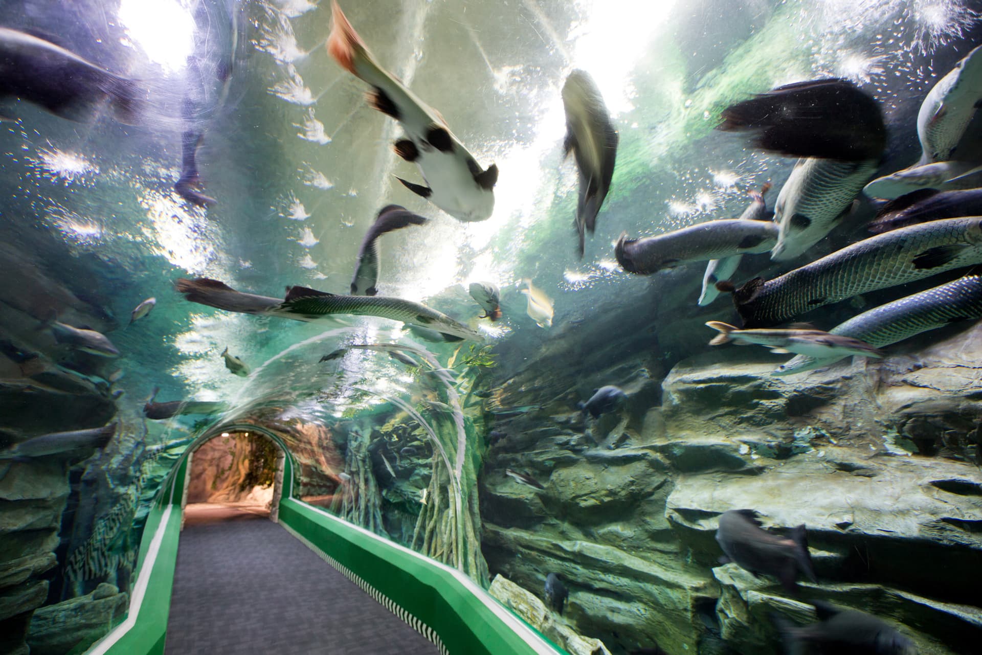 COMBO: Lotte World Adventure Seoul + Lotte World Aquarium + Seoul Sky Observatory Tickets - تصویر 11