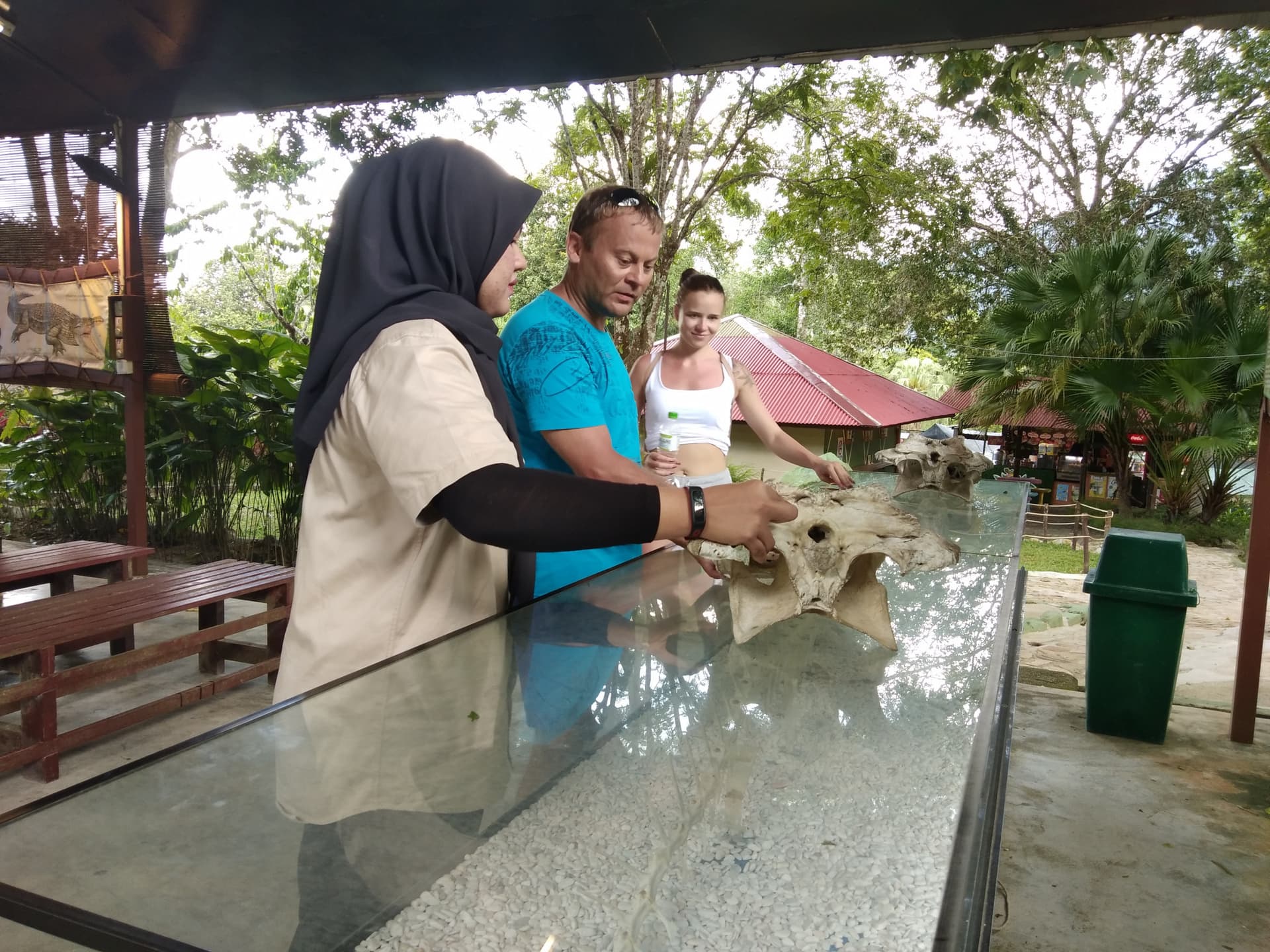 Crocodile Adventureland Langkawi - تصویر 11