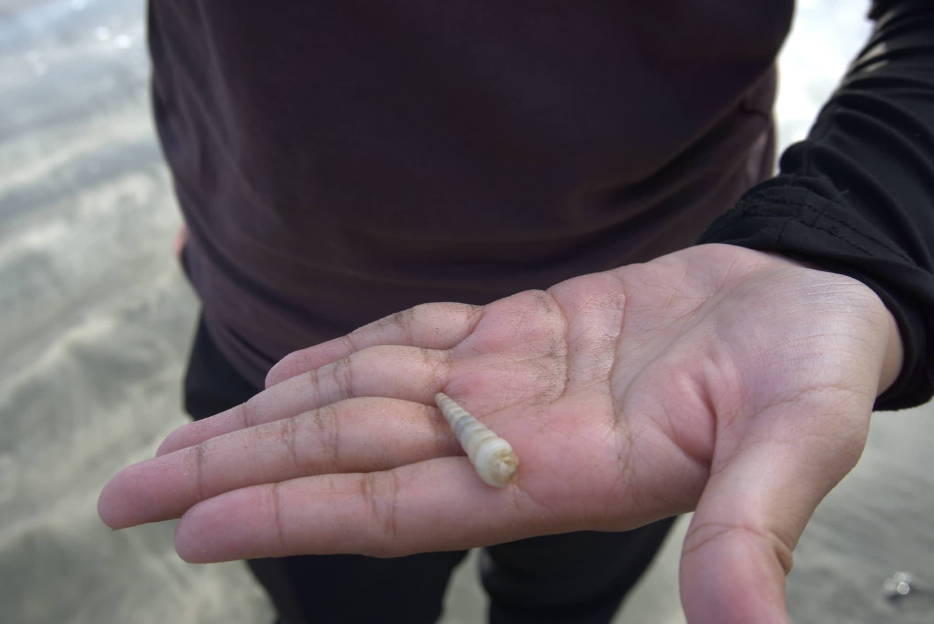 Desaru Beach and Tide Pool Walk - تصویر 19