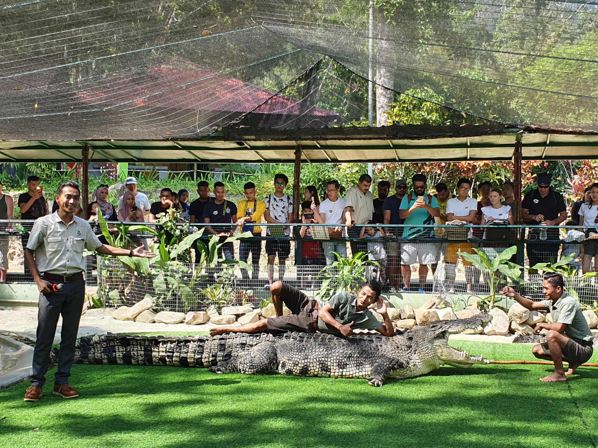 Crocodile Adventureland Langkawi - تصویر 8