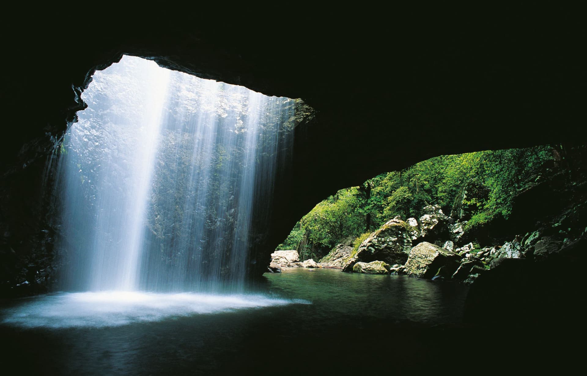 Gold Coast Full-Day Tour From Brisbane - تصویر اصلی