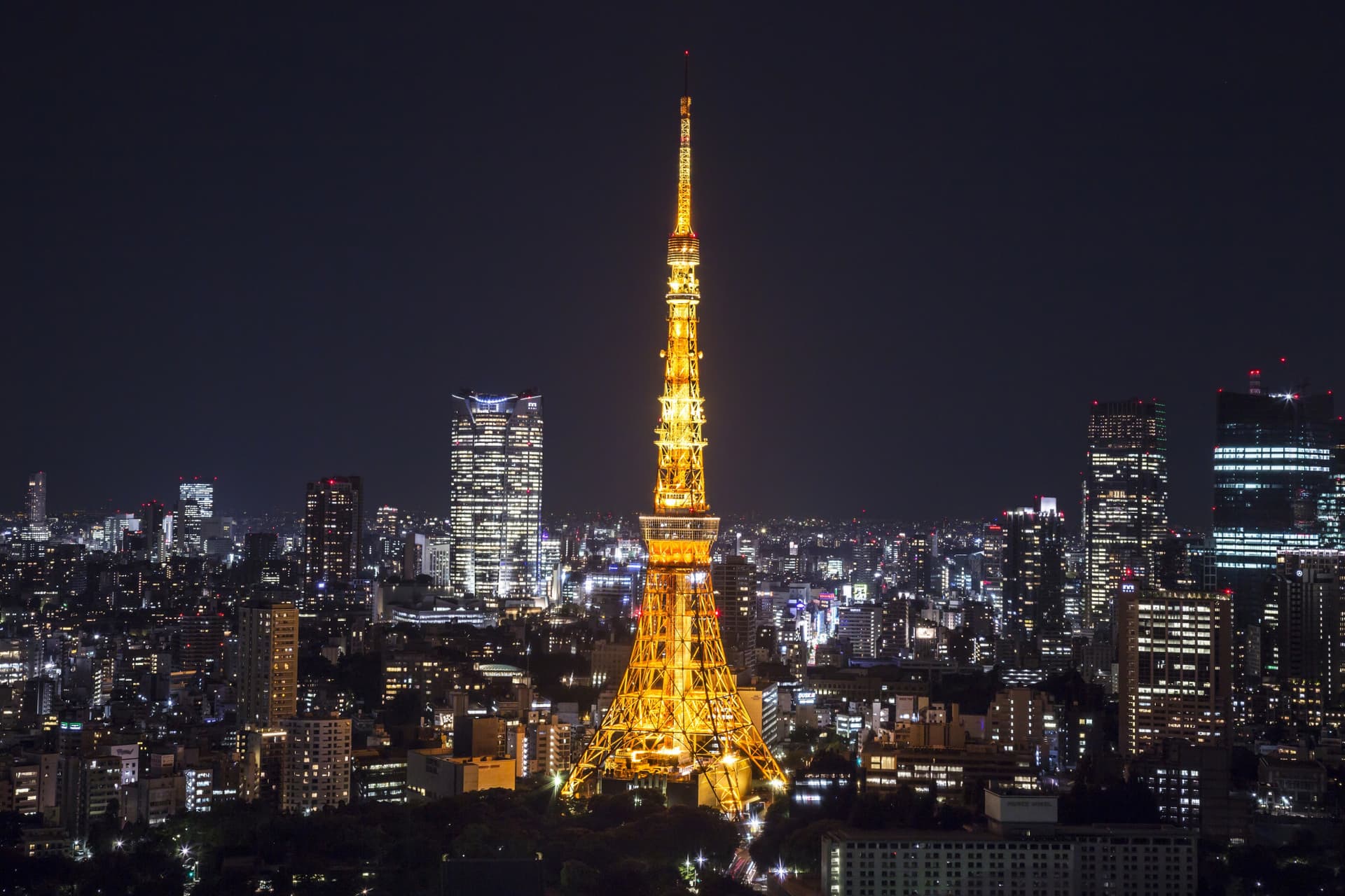 Tokyo Tower Ticket - تصویر اصلی