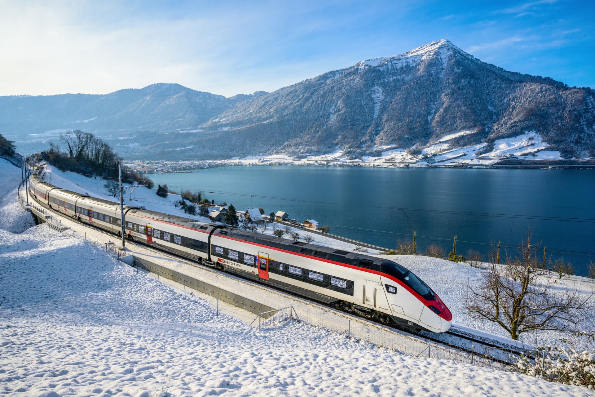 Swiss Travel Pass Flex Family Card (Non-Consecutive Days within One Month) - تصویر 2