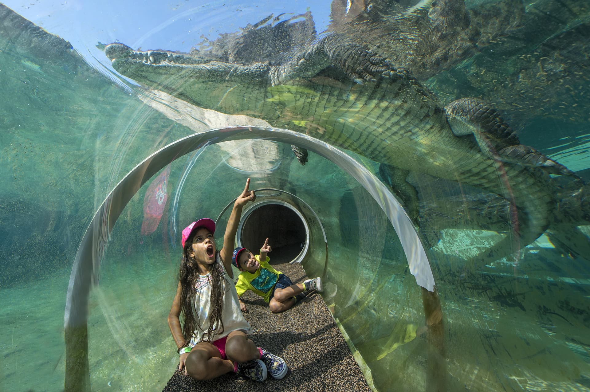 Go City Miami Explorer Pass: Save up to 50% on Attractions - تصویر 11