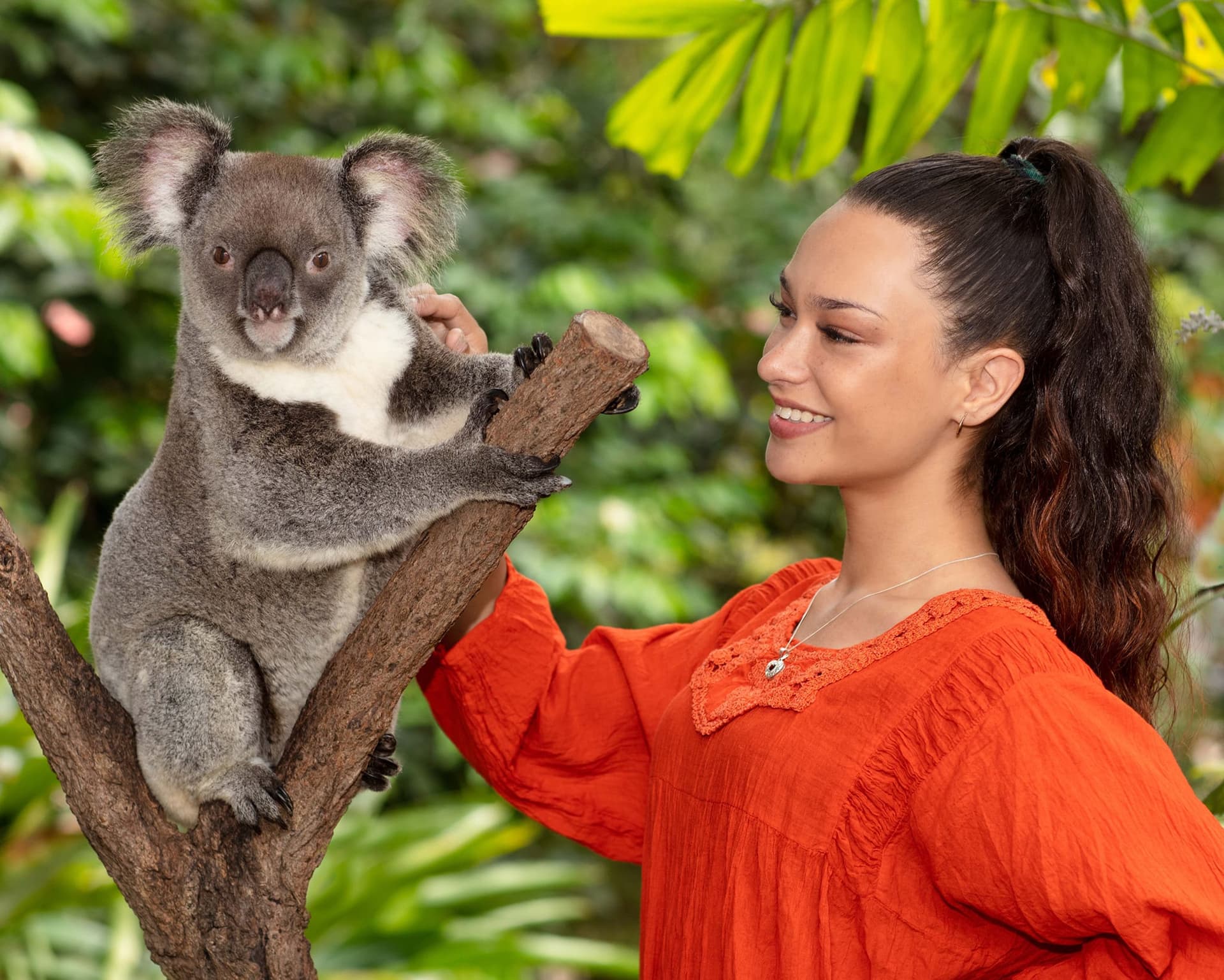 Kuranda Koala Gardens - تصویر 6