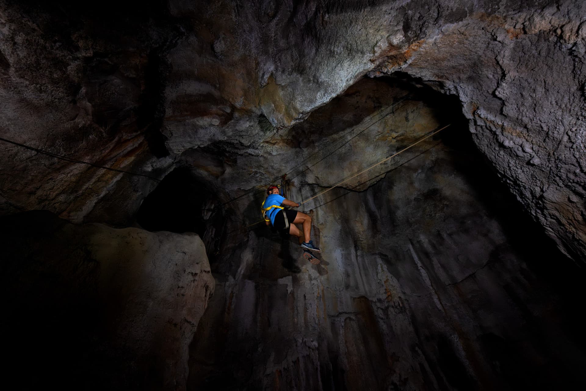 Mandai Destination Pass: Visit Up to 6 Attractions in 1 or 5 Days - تصویر 23