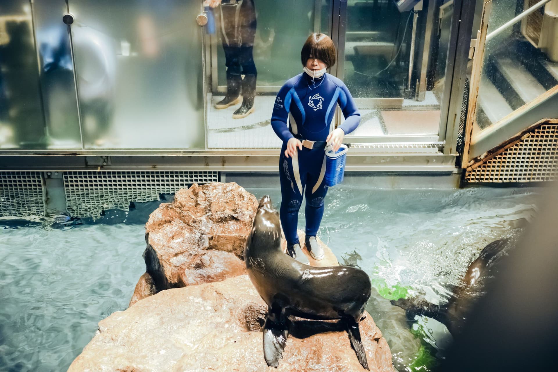 Sumida Aquarium Ticket - تصویر 4
