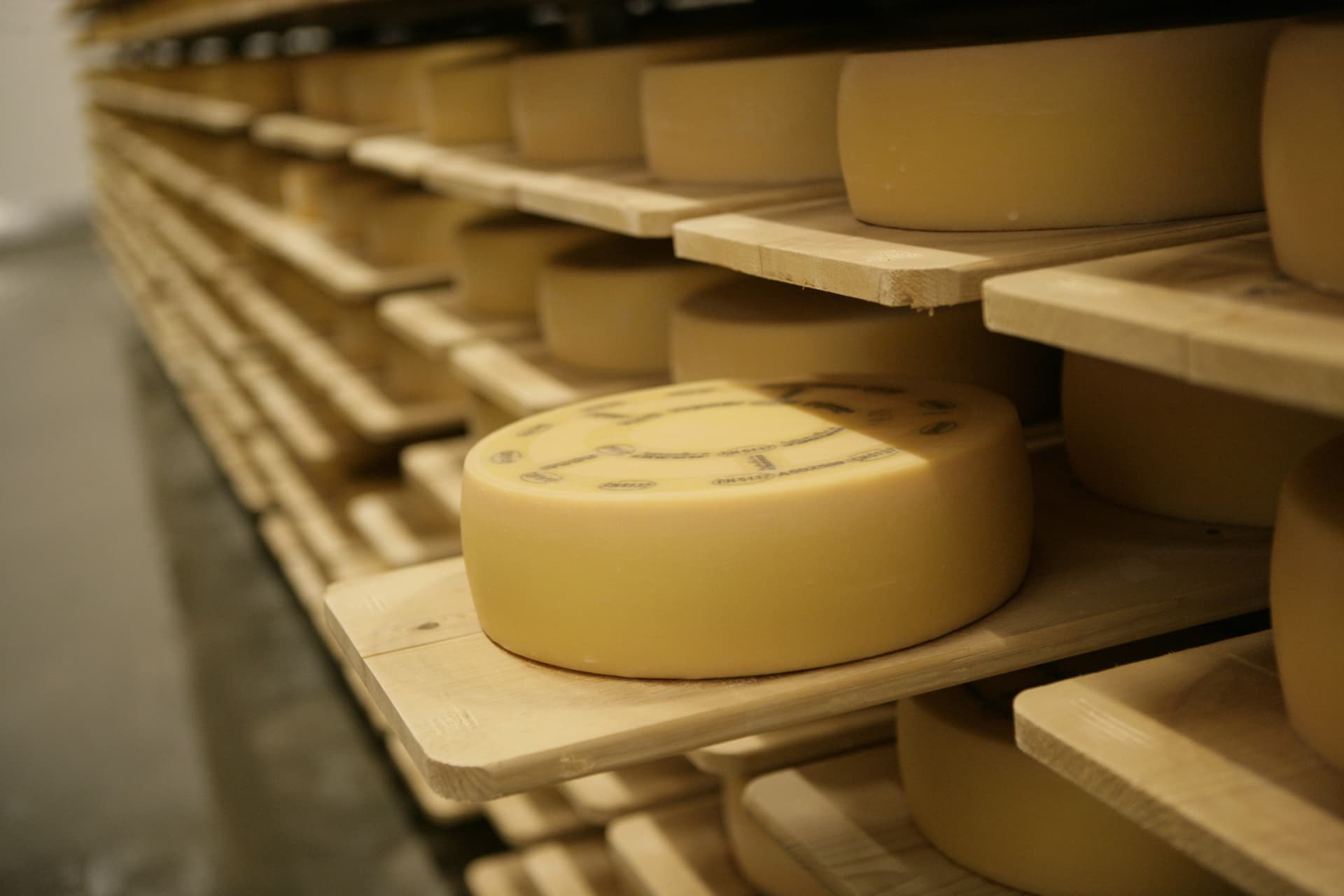 Appenzell Tour from Zurich with Cheese and Chocolate Tasting - تصویر 2