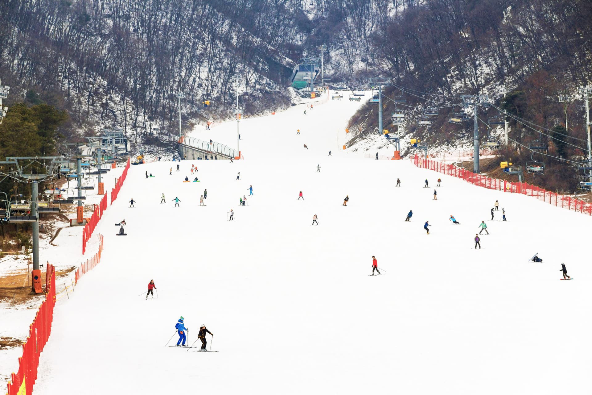 Jisan Forest Ski Resort Full-Day Tour from Seoul - تصویر اصلی