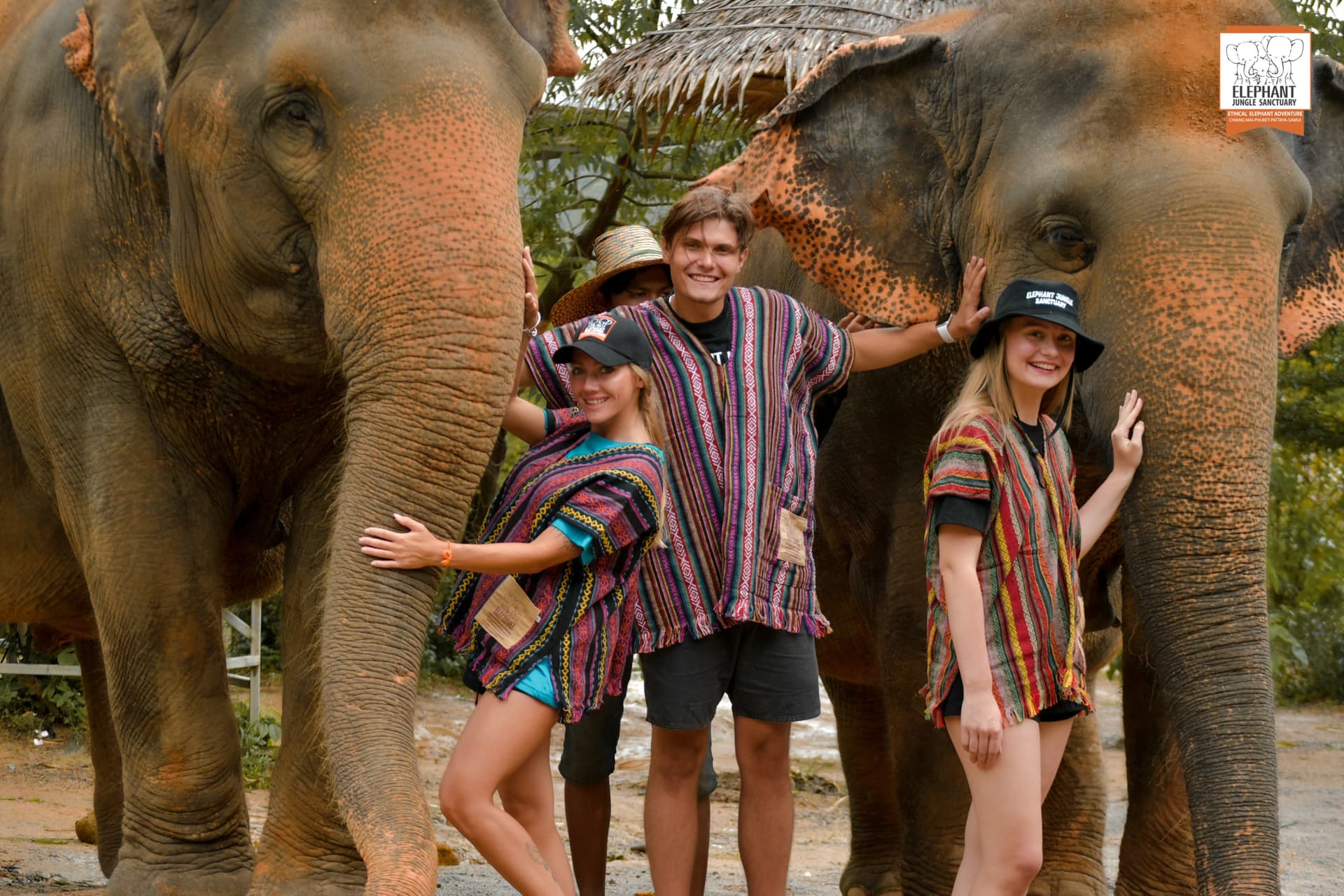 Elephant Jungle Sanctuary Phuket - تصویر 9