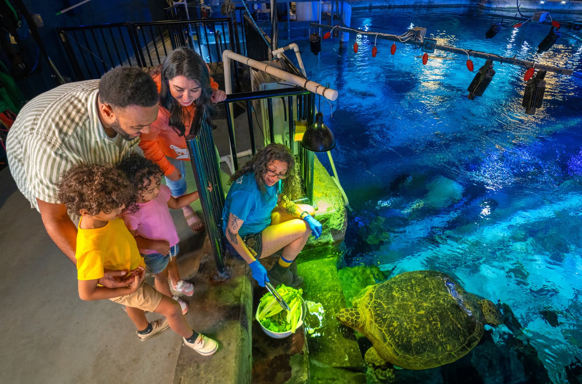 SEA LIFE Orlando Aquarium Ticket - تصویر 7