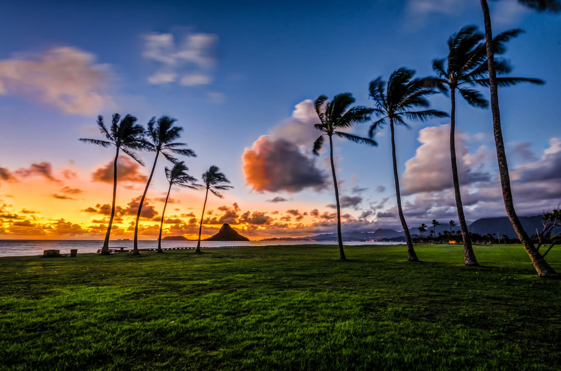 Go City Oahu Explorer Pass: Save up to 50% on Attractions - تصویر 19
