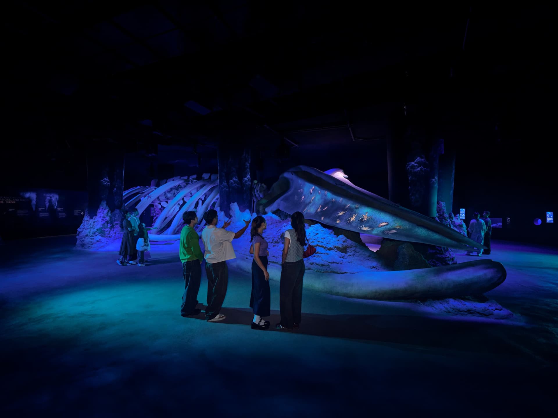 Singapore Oceanarium Ticket - تصویر 3