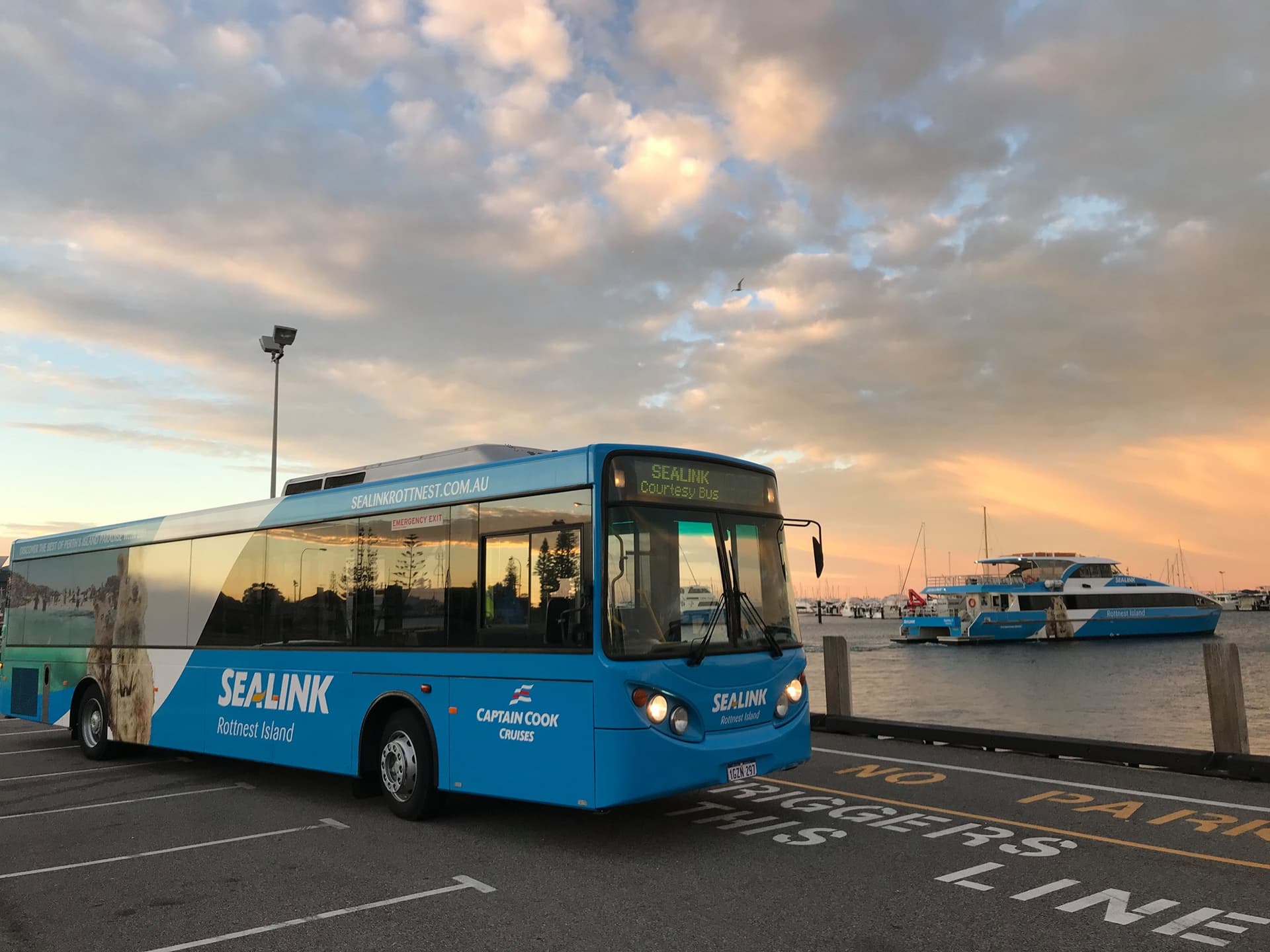 Rottnest Island Bayseeker Bus Tour with Round Trip SeaLink Ferry Transfer - تصویر 2