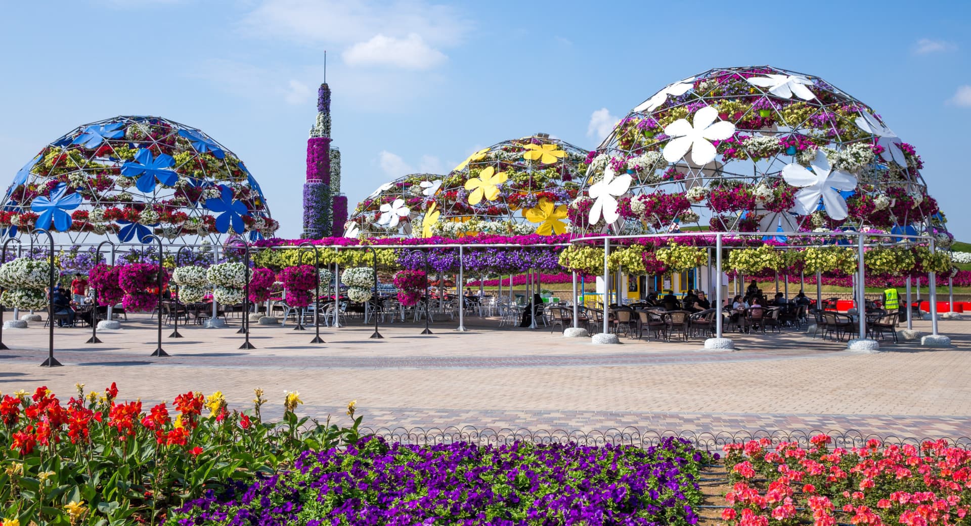 COMBO: Dubai Miracle Garden + Dubai Butterfly Garden Tickets - تصویر 4