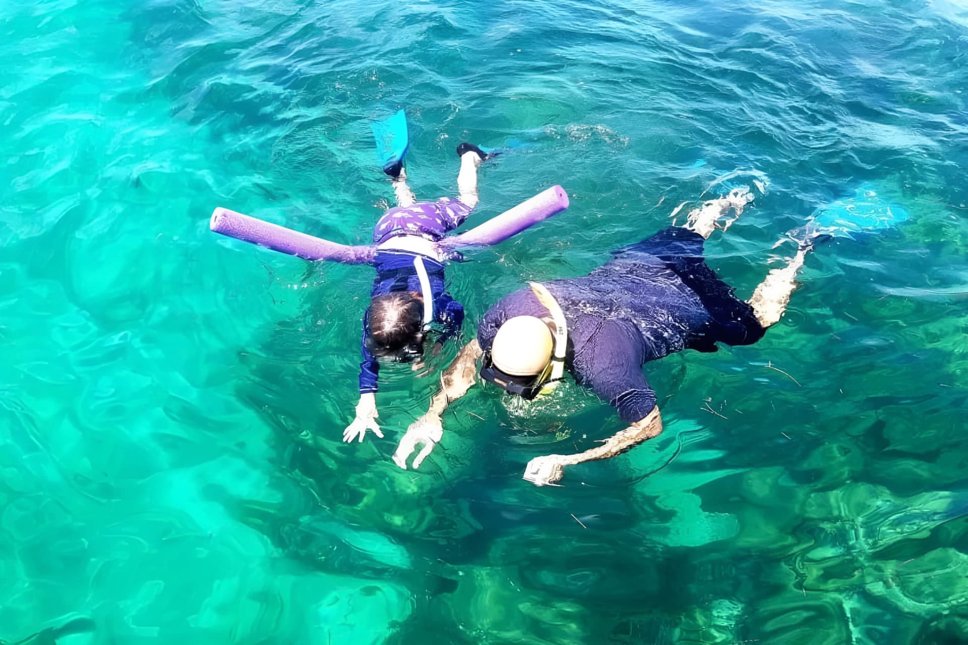 Miami: Snorkeling Adventure off a Secluded Island from South Beach - تصویر اصلی
