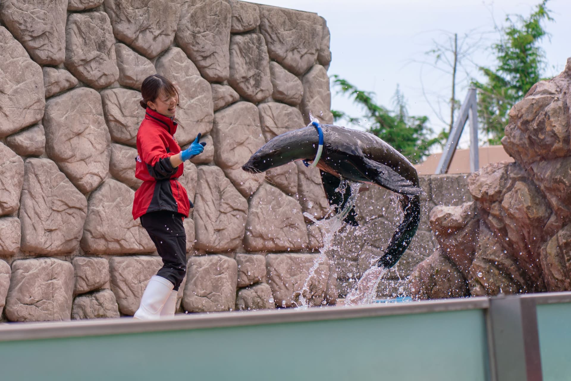 Nasu Animal Kingdom Ticket - تصویر 3