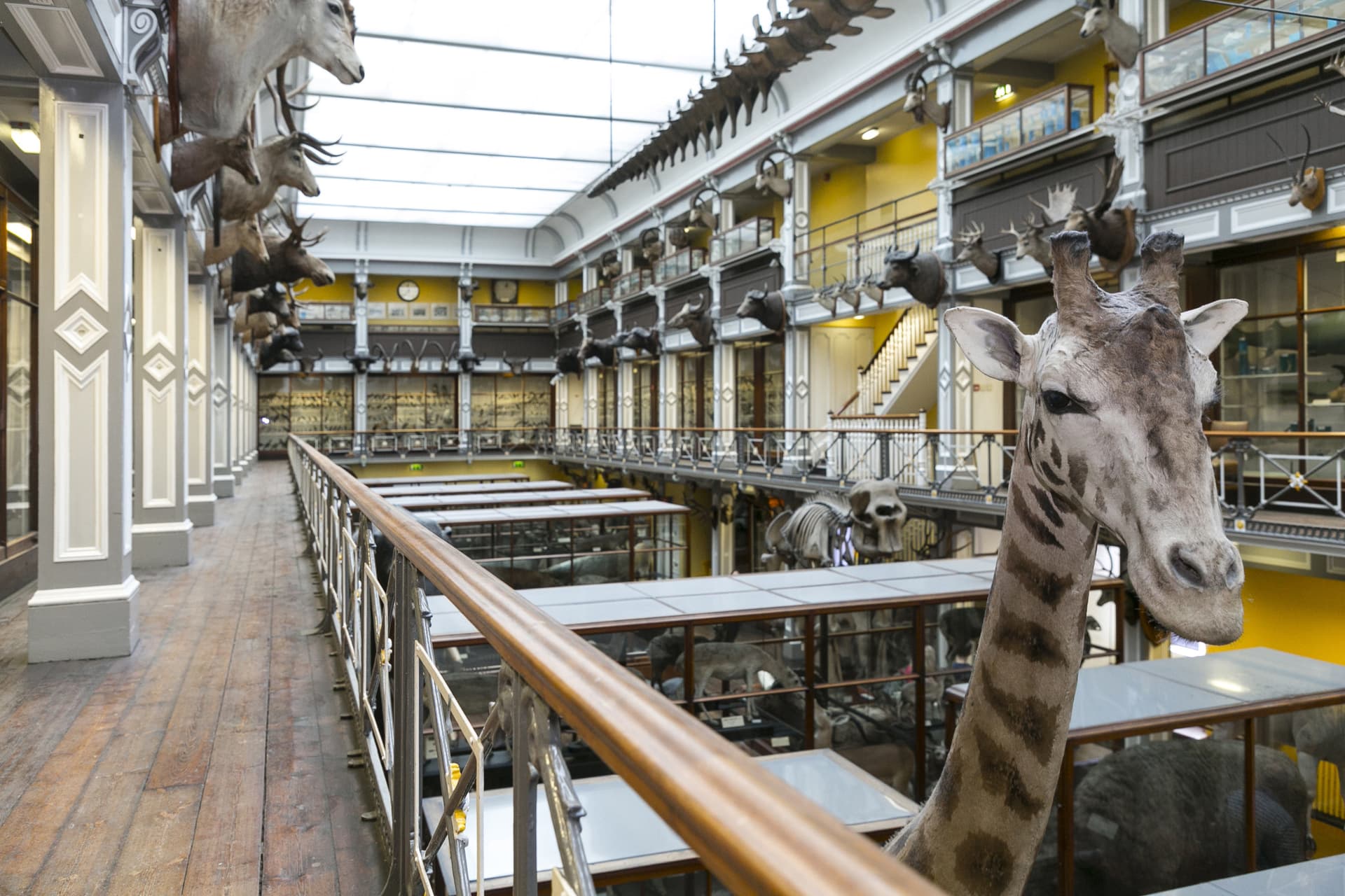 Go City Dublin All-Inclusive Pass: Save up to 50% on Attractions - تصویر 38
