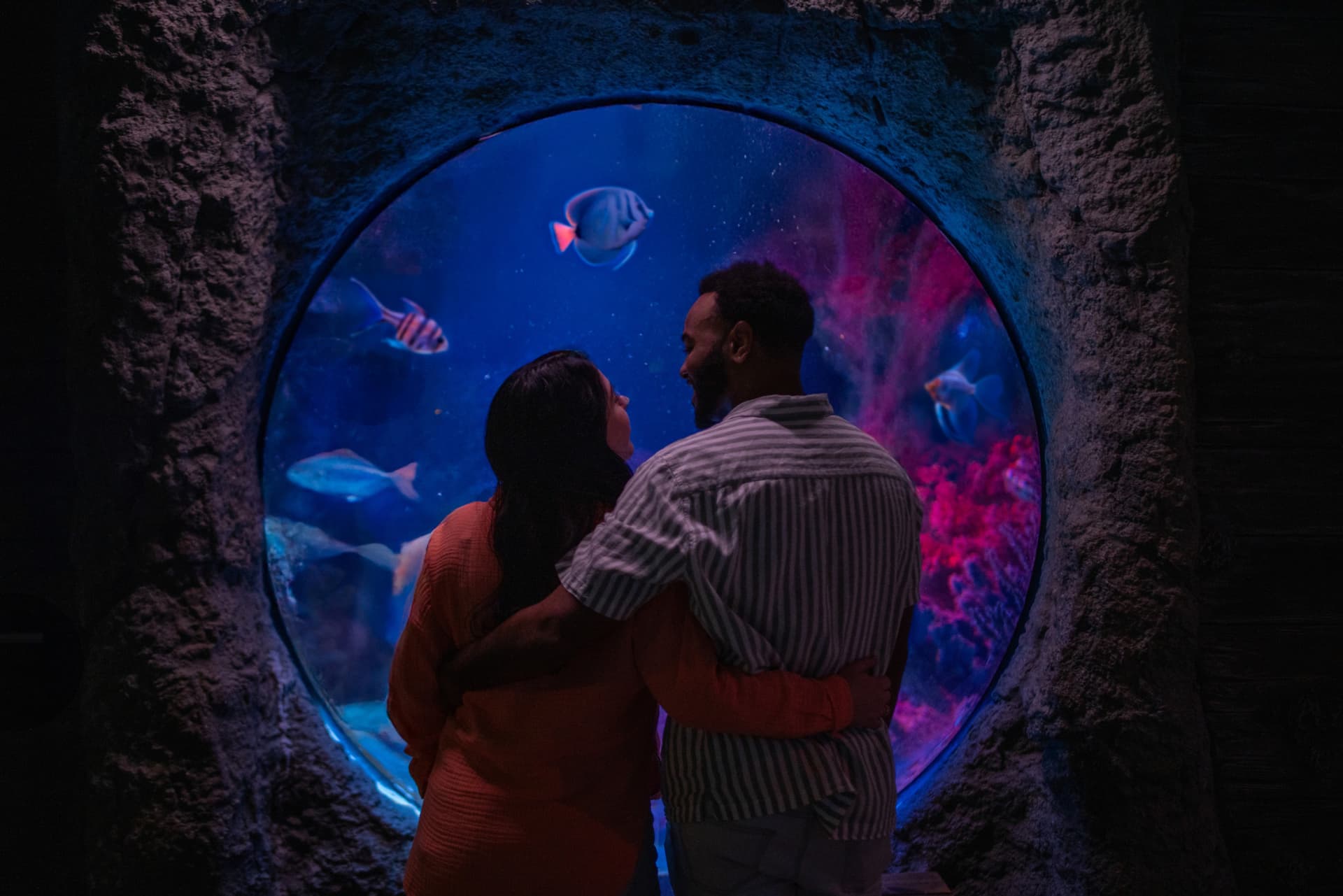 COMBO: Madame Tussauds Orlando + SEA LIFE Orlando Aquarium Ticket - تصویر 10