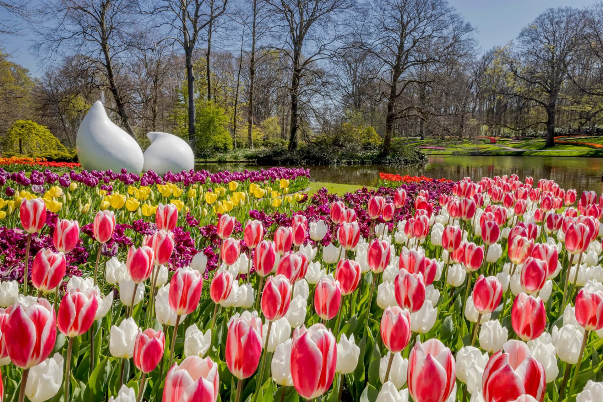 Go City Amsterdam Explorer Pass: Save up to 50% on Attractions - تصویر 8