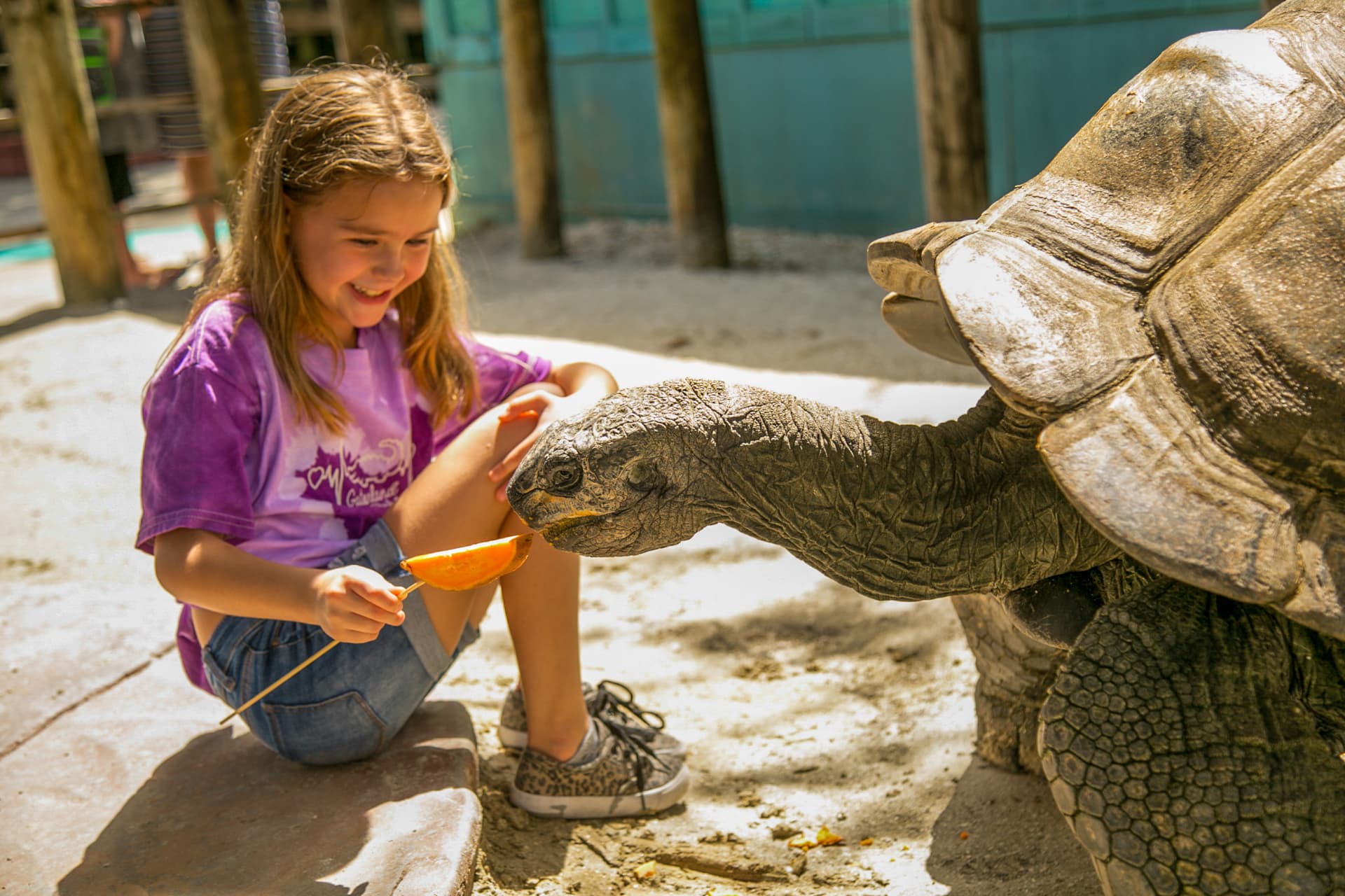 Go City Orlando Essentials Pass: 3 Attractions - تصویر 17