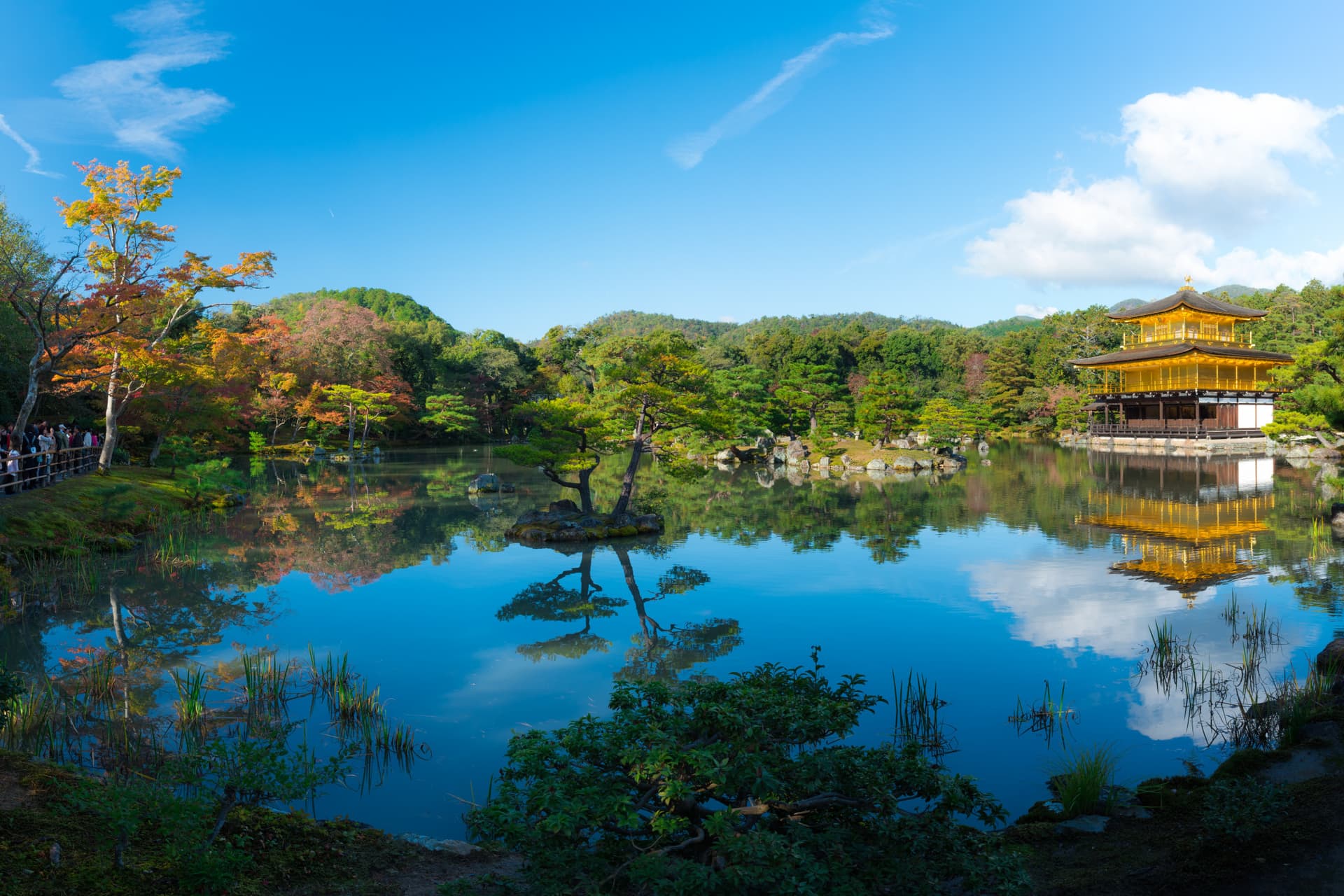 Kyoto and Nara Full-Day Tour from Kyoto - تصویر اصلی