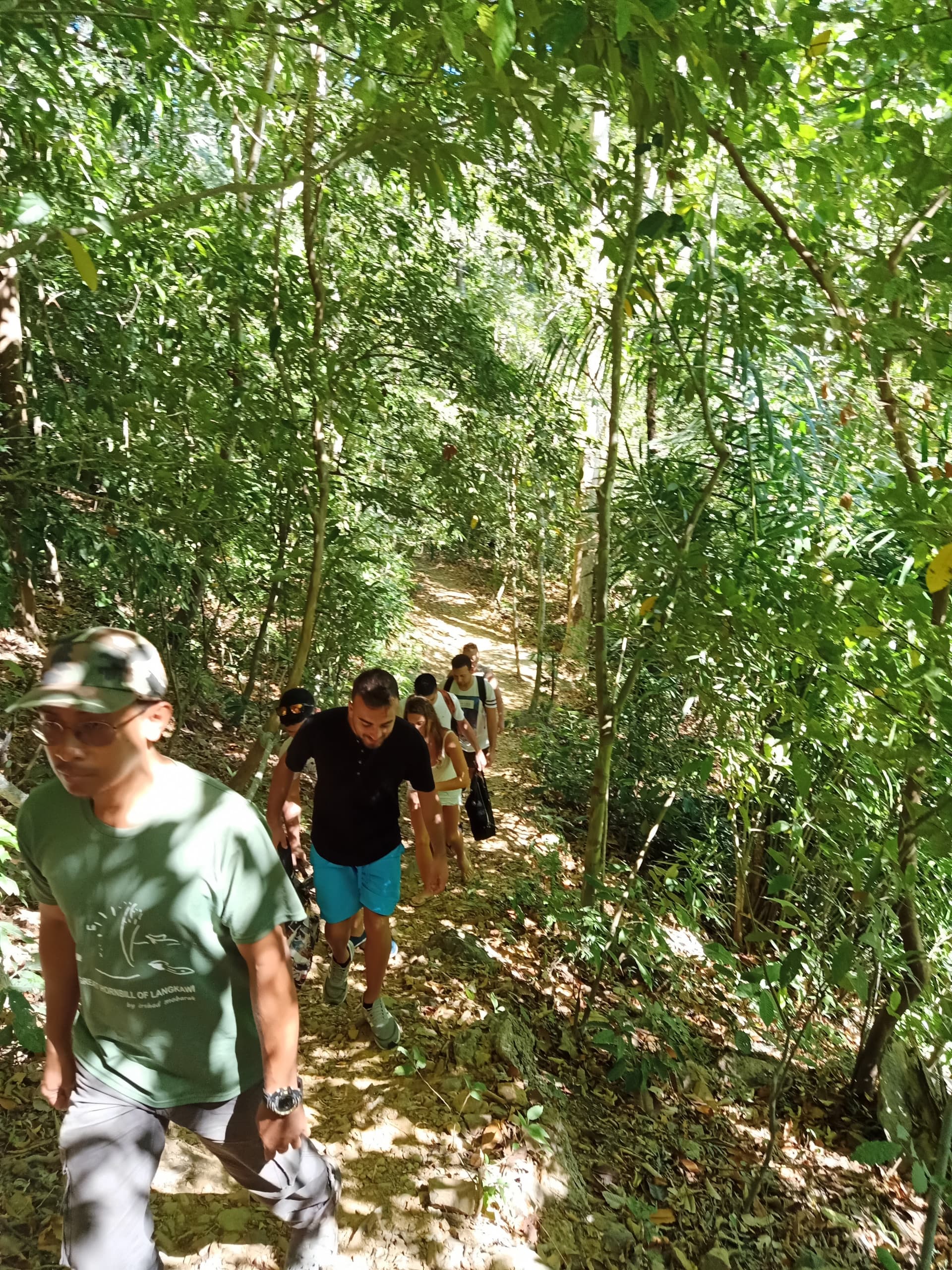 Langkawi Morning Rainforest Walking Tour - تصویر 9