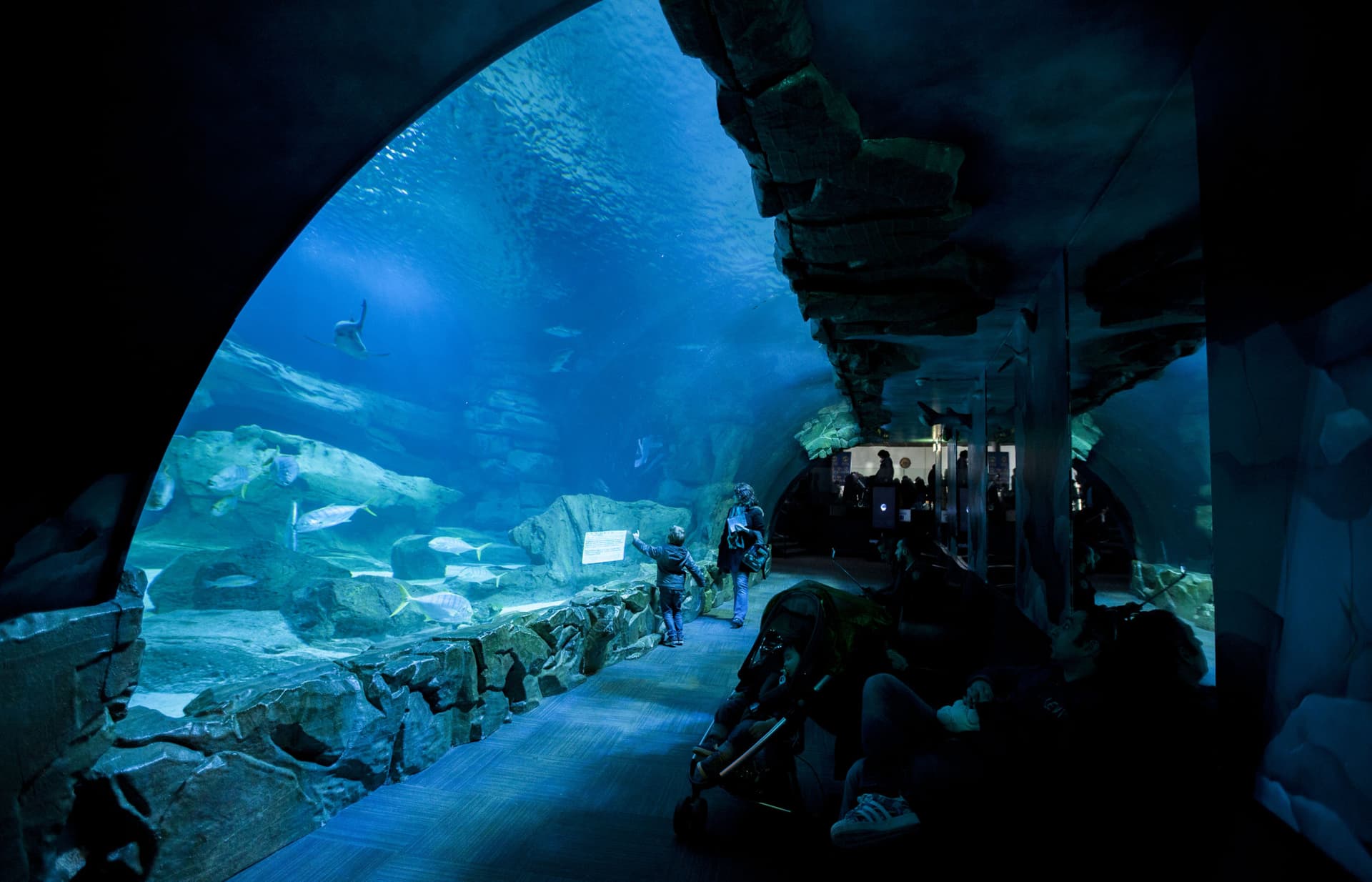 The Paris Pass Plus: Save up to 50% on Attractions - تصویر 27