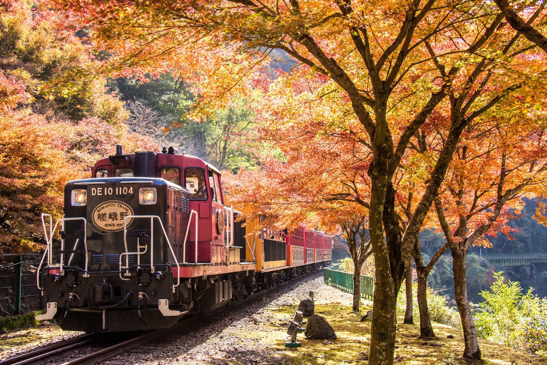 Sagano Romantic Train - تصویر 12