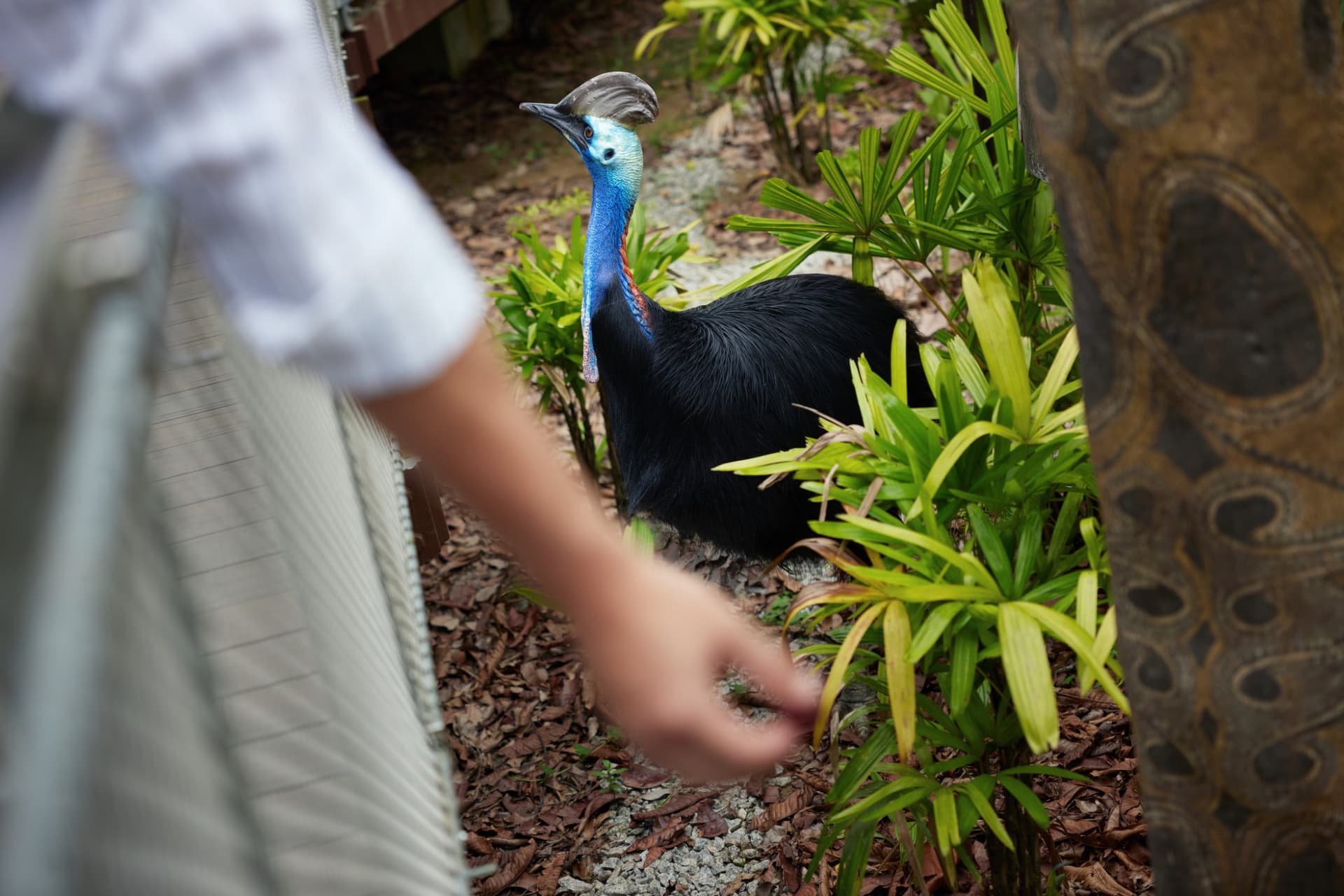 COMBO: River Wonders + Bird Paradise Ticket - تصویر 14