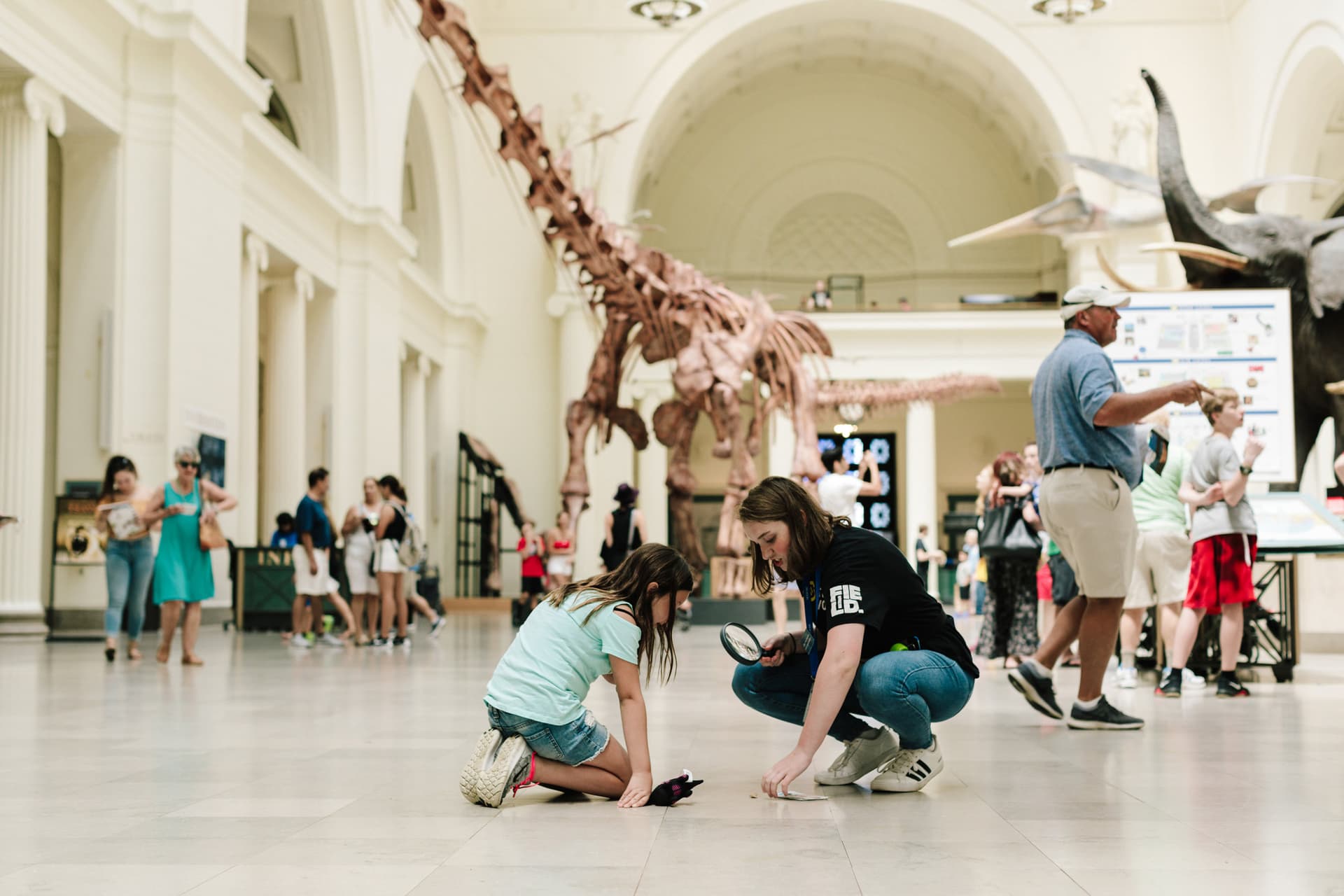 Go City Chicago Essentials Pass: 3 Attractions - تصویر 14