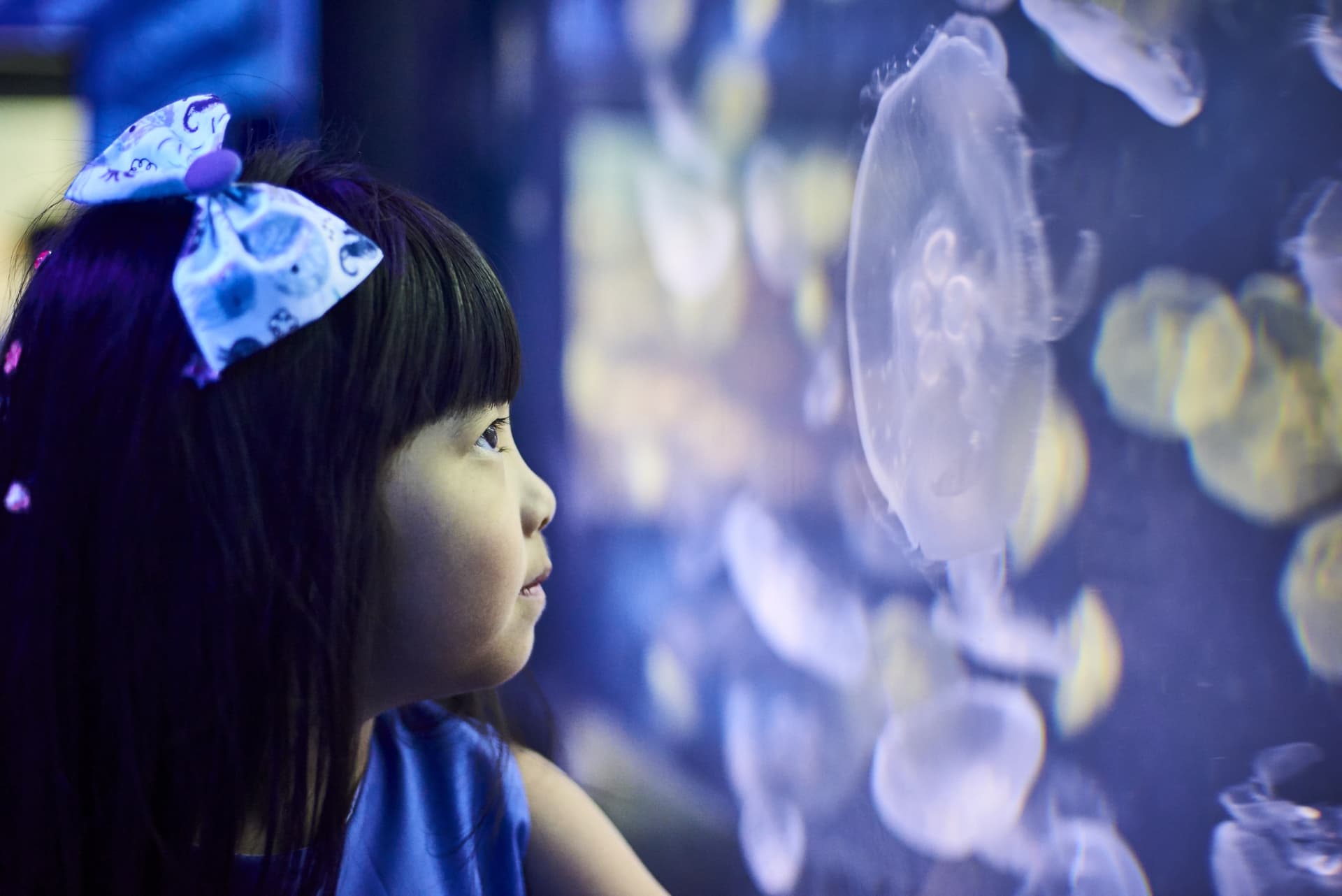 SEA LIFE Melbourne Aquarium Direct Entry Ticket - تصویر 12