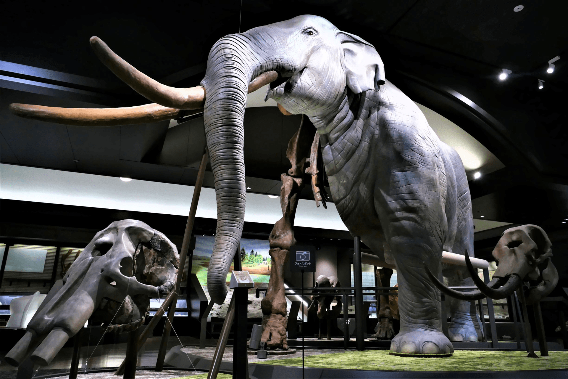 Lake Biwa Museum Ticket - تصویر اصلی