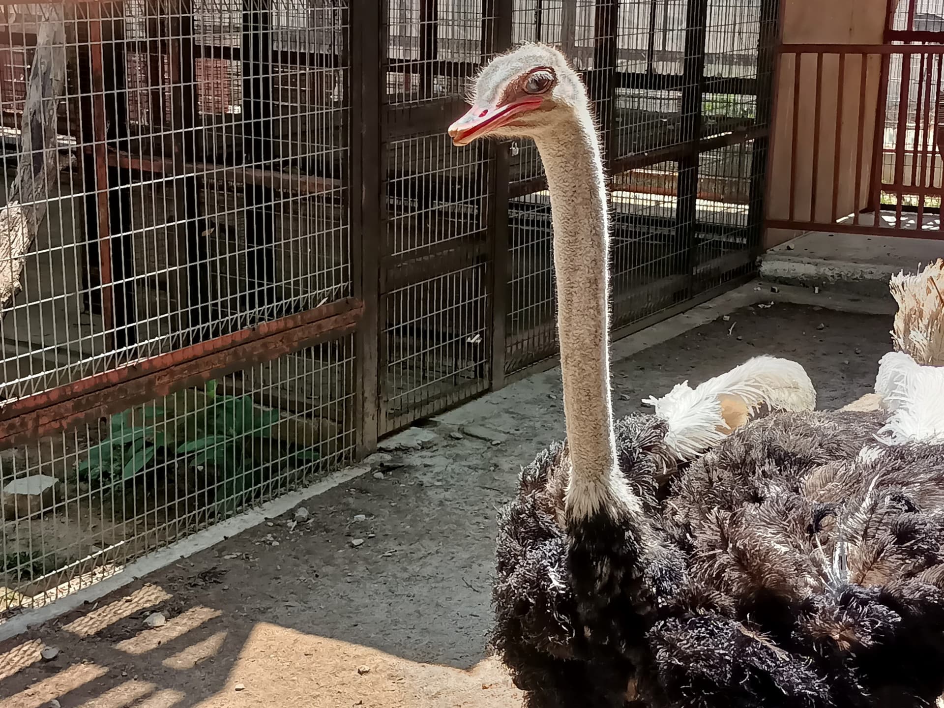 Langkawi Wildlife Park - تصویر 16