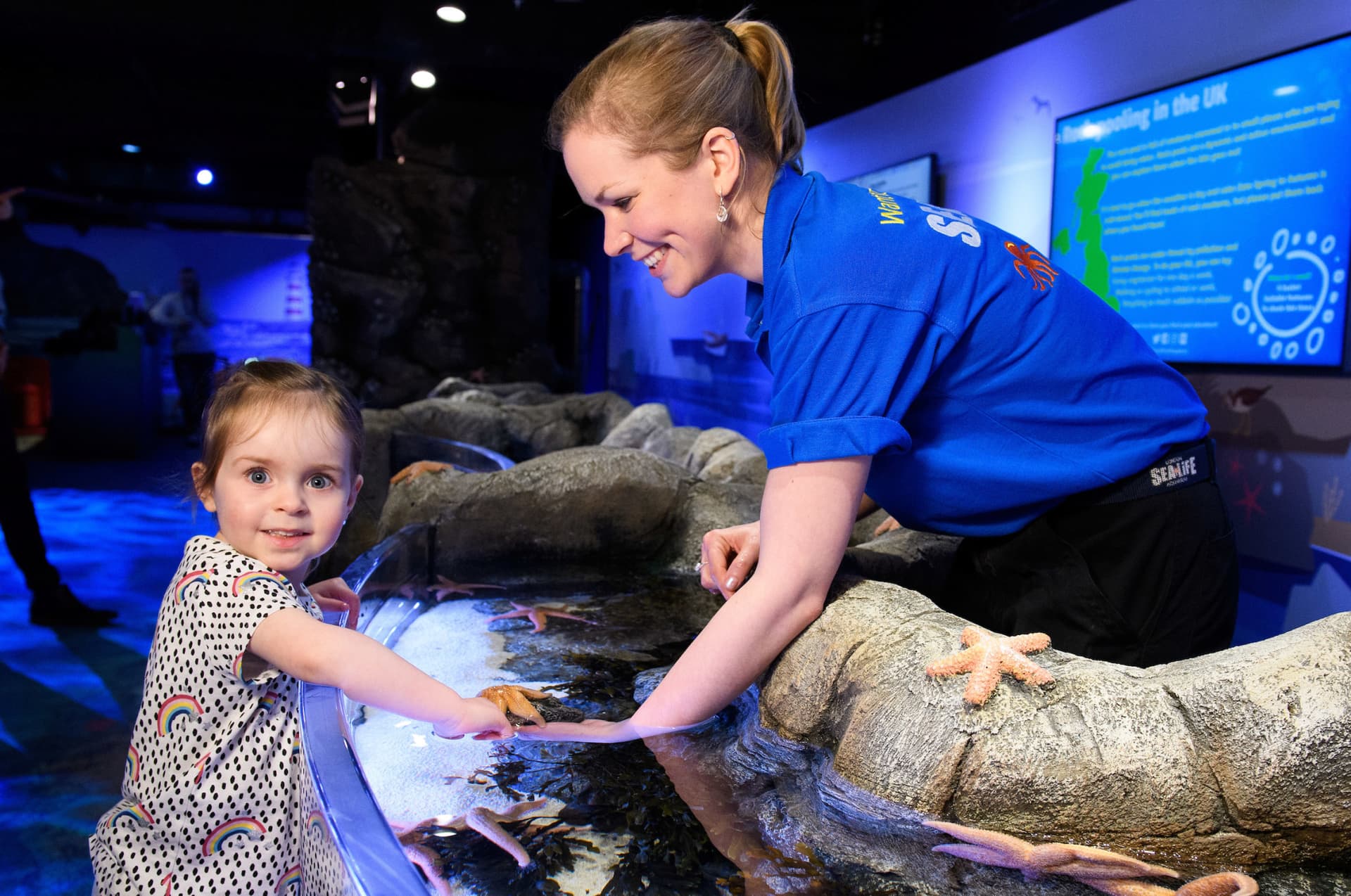 SEA LIFE London Aquarium Ticket - تصویر 9