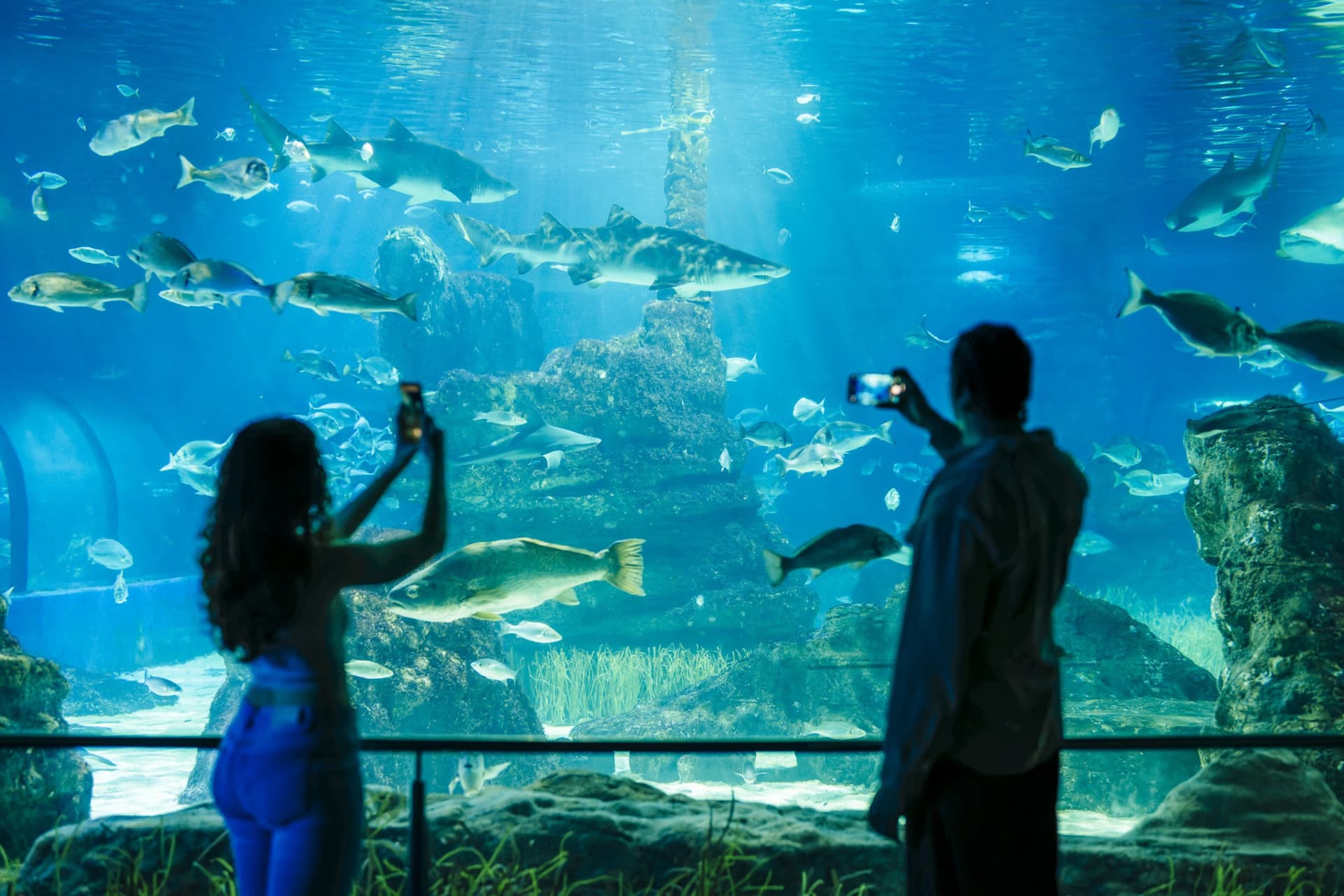 Barcelona Aquarium Ticket - تصویر 9