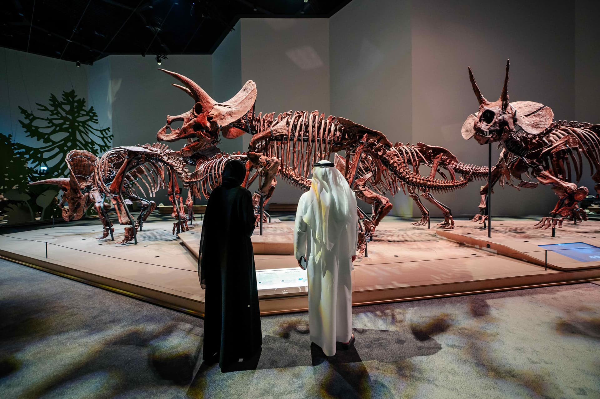 Museum Pass: Zayed National Museum + Natural History Museum + Louvre Abu Dhabi Tickets - تصویر 6