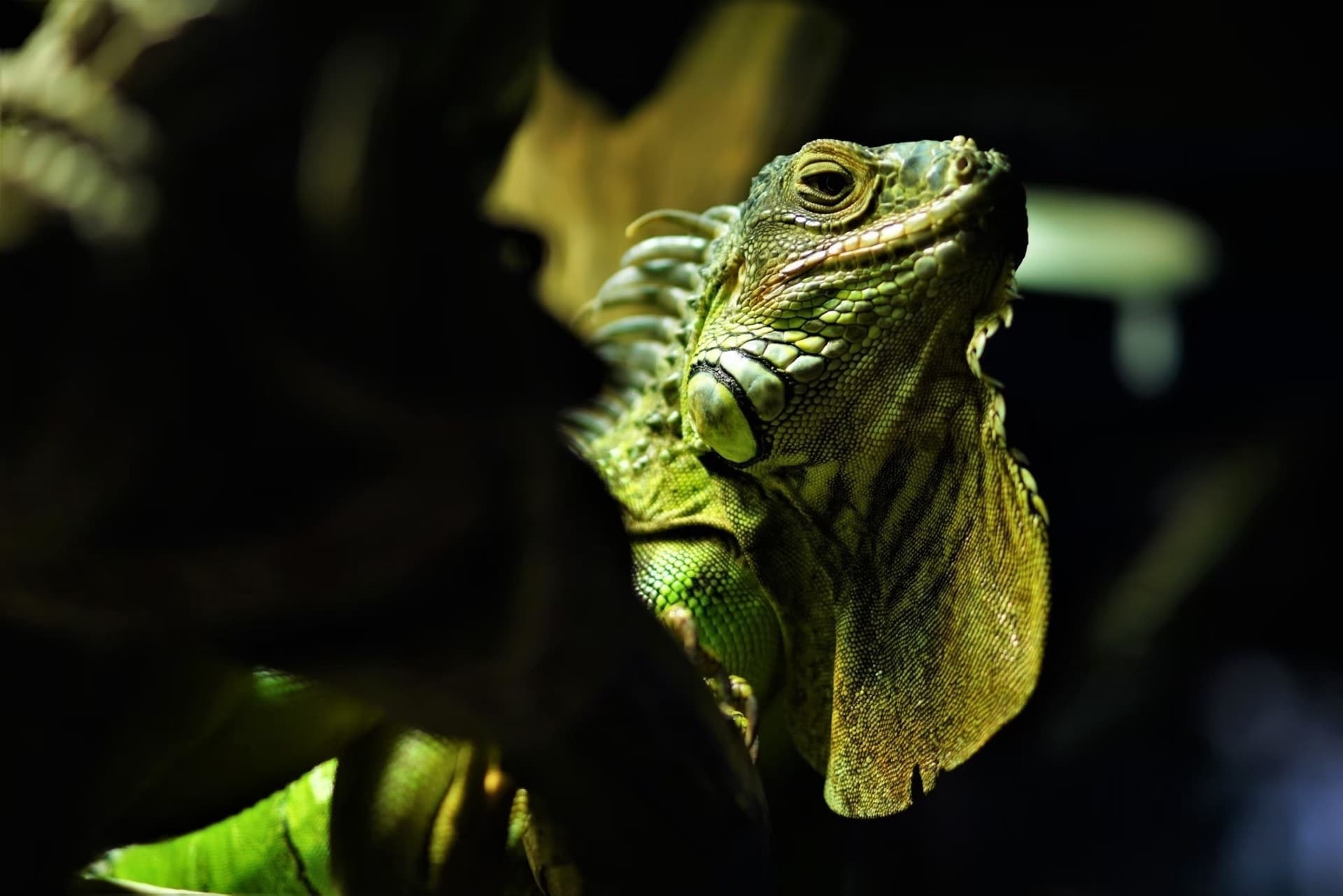 Aquaria Phuket - تصویر 33