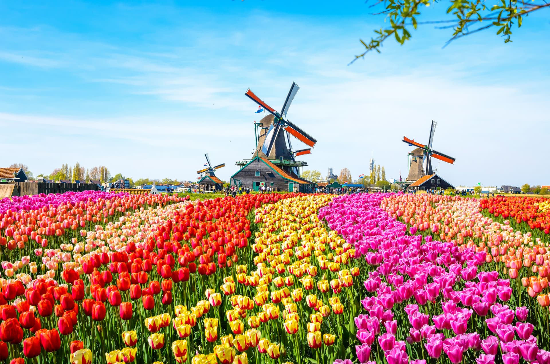 Go City Amsterdam Essentials Pass: 3 Attractions - تصویر 8