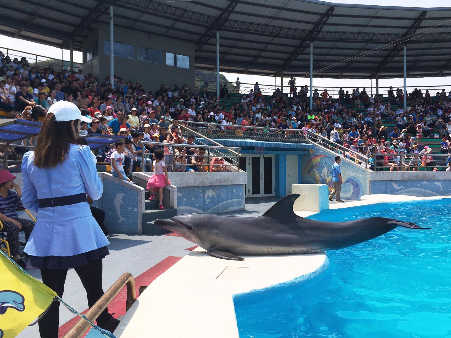 Yehliu Ocean World - تصویر 6