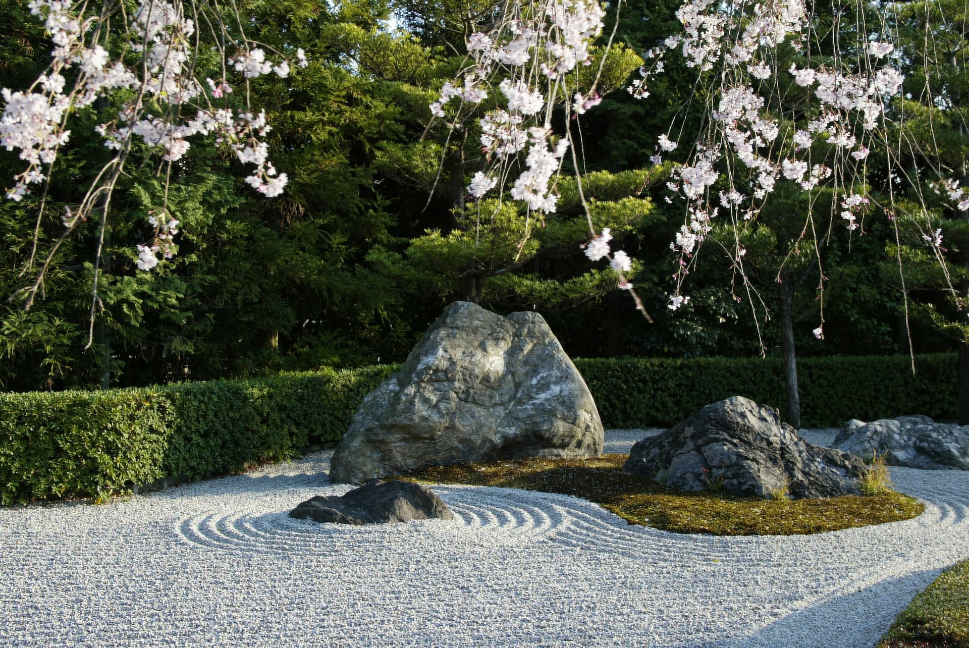 Myoshinji Temple Self-Guided Tour with Lunch - تصویر 7