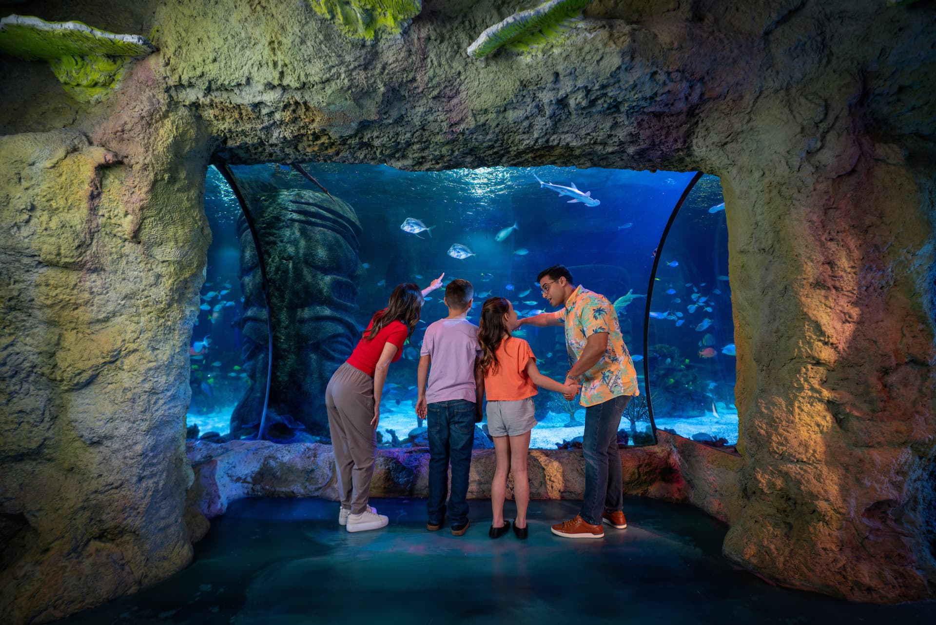 COMBO: Madame Tussauds Orlando + SEA LIFE Orlando Aquarium Ticket - تصویر 9
