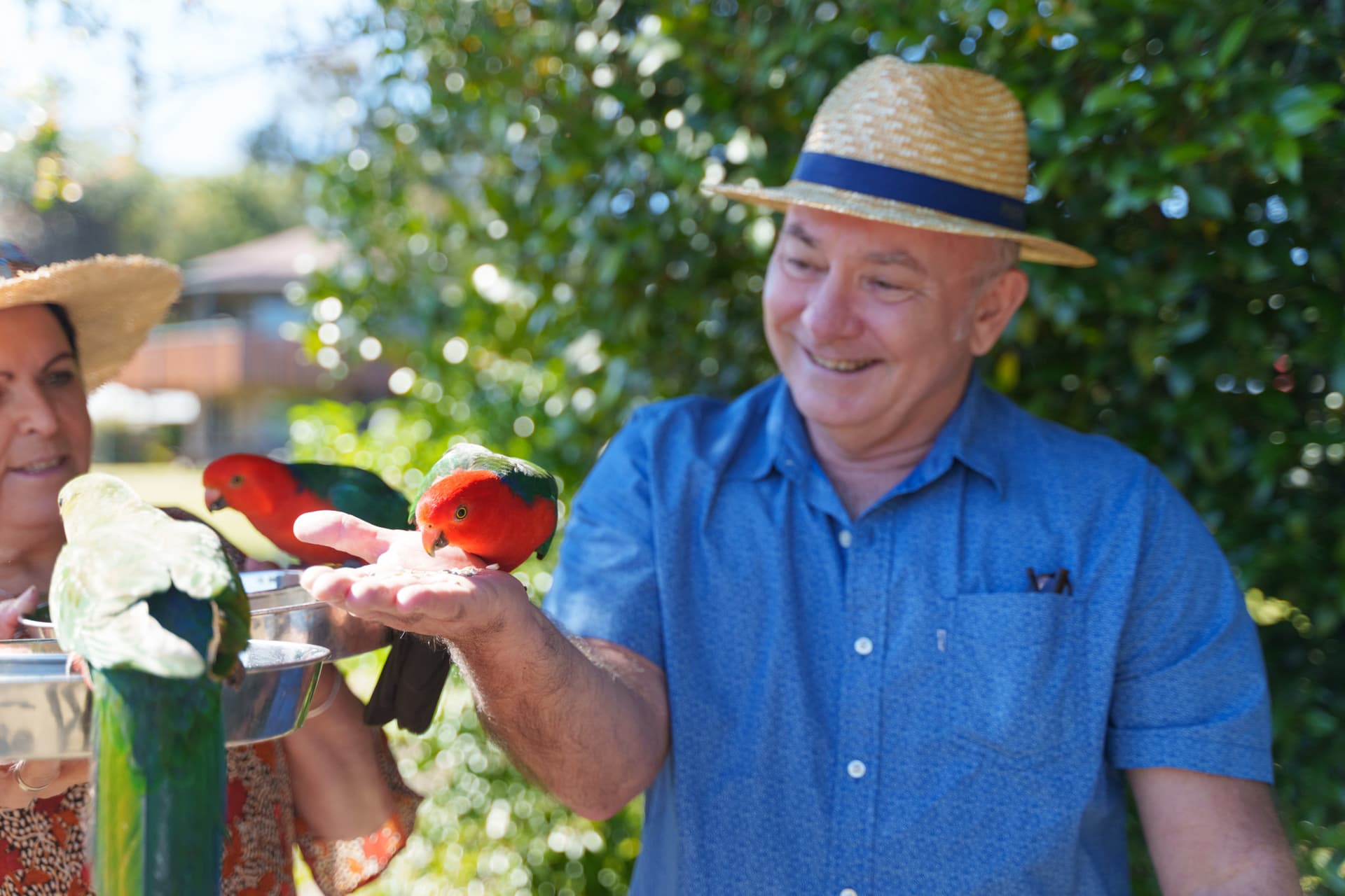 Lamington National Park Tour: O'Reilly's Rainforest Retreat and Canungra Valley Vineyard - تصویر 14