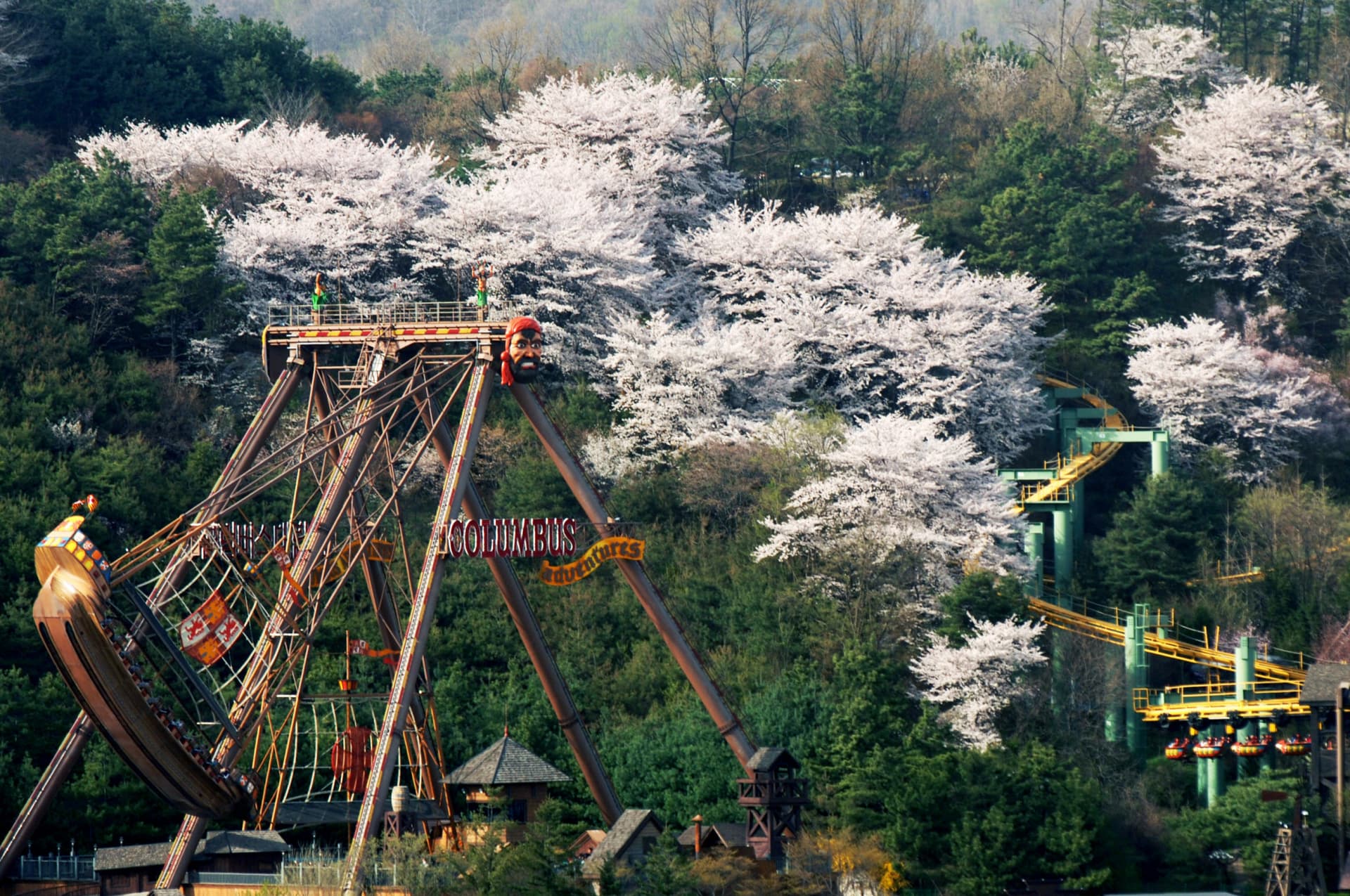 Everland Theme Park Ticket - تصویر 13