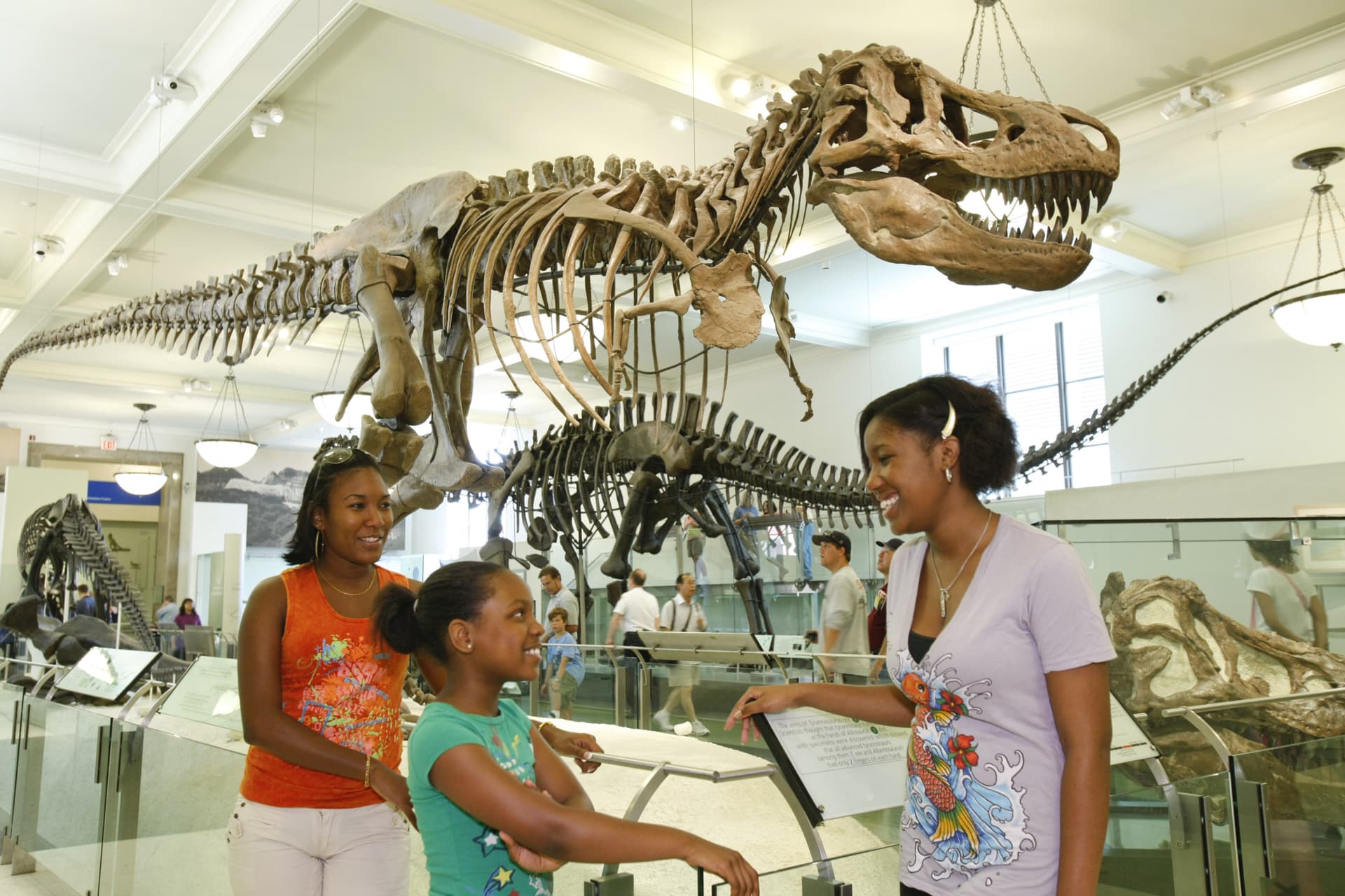 Go City New York Essential Pass: Save up to 50% on Attractions - تصویر 6