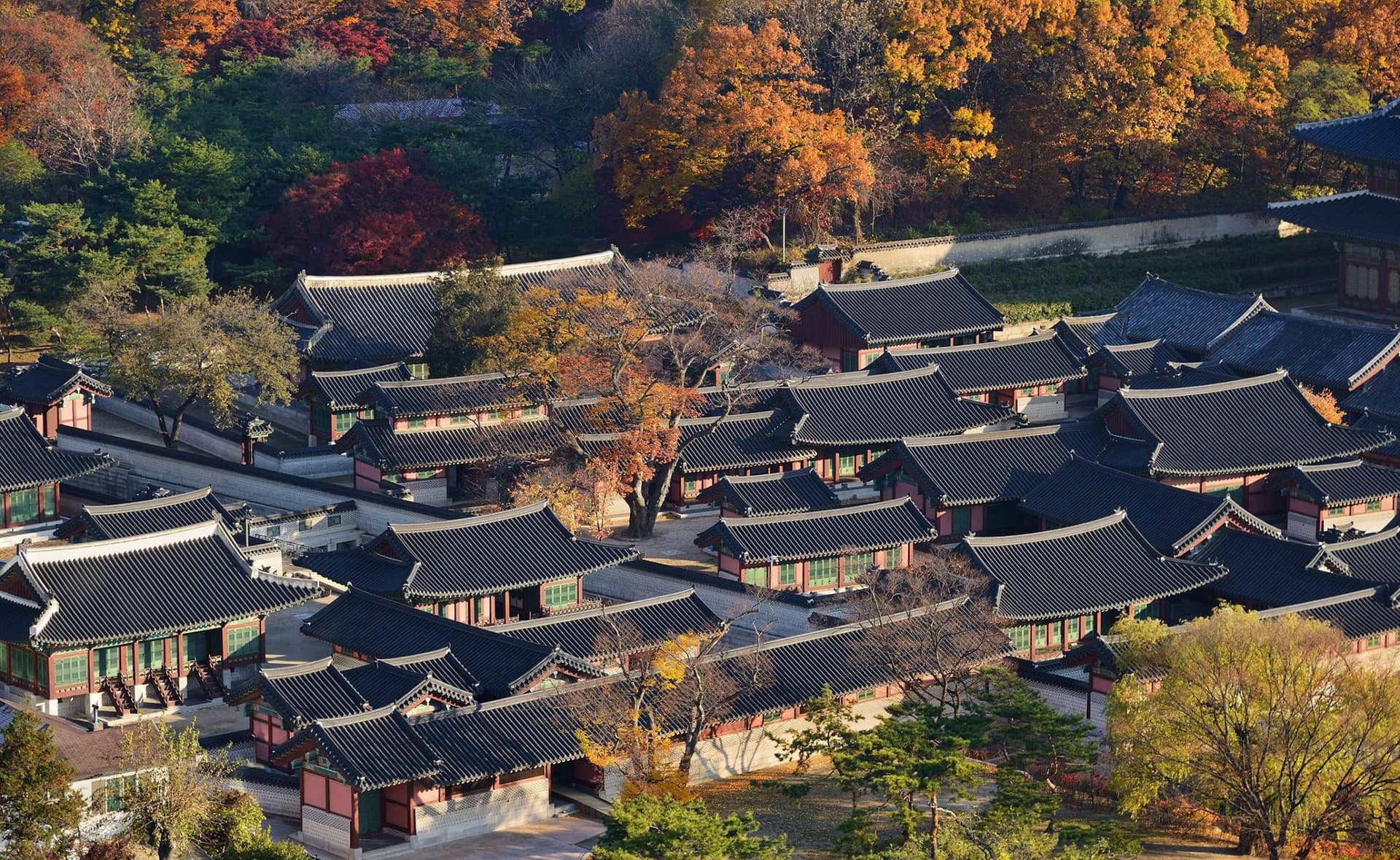 Discover Seoul Pass - تصویر 15