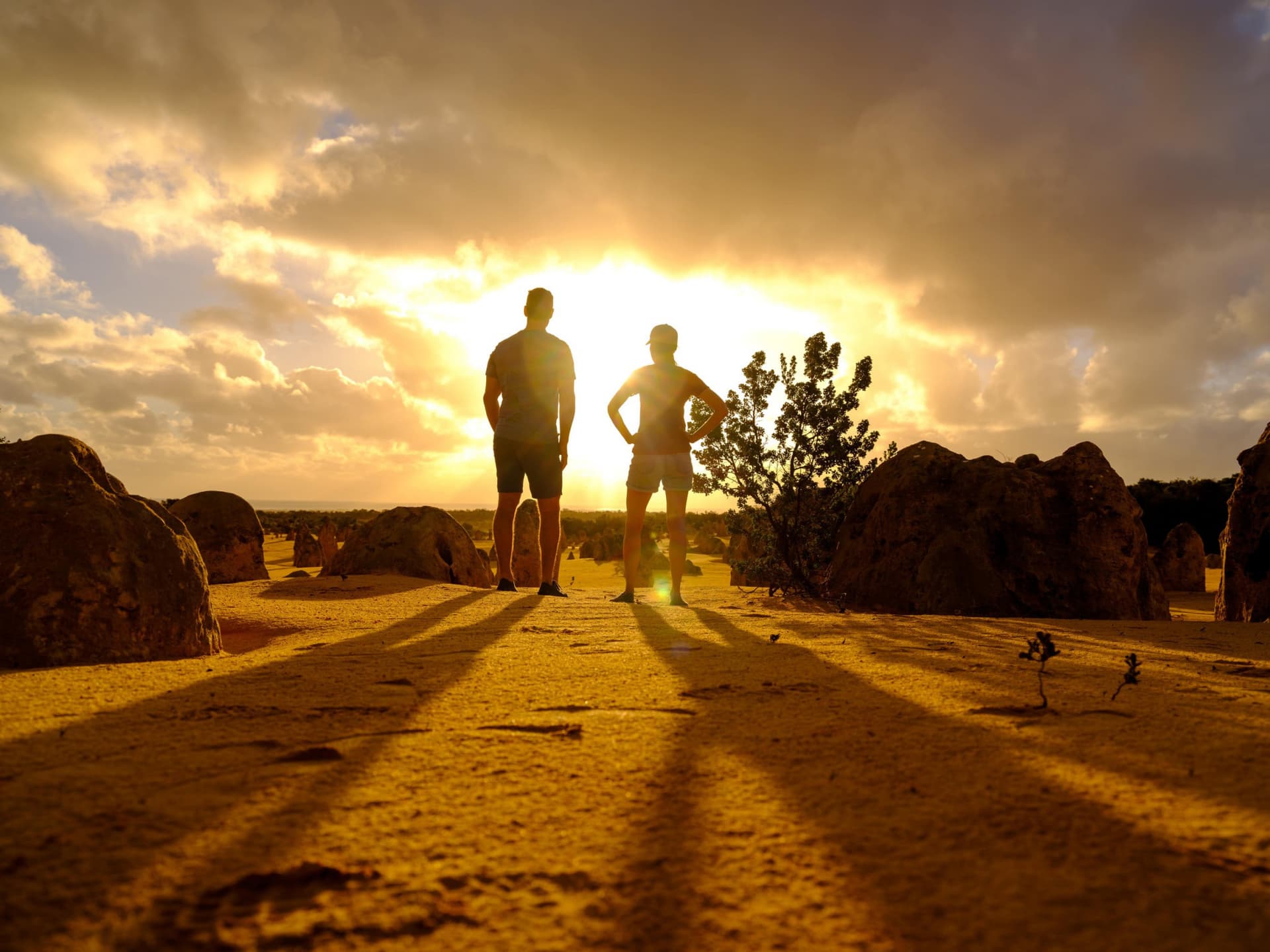 Pinnacles Desert Sunset and Stargazing Tour from Perth - تصویر اصلی