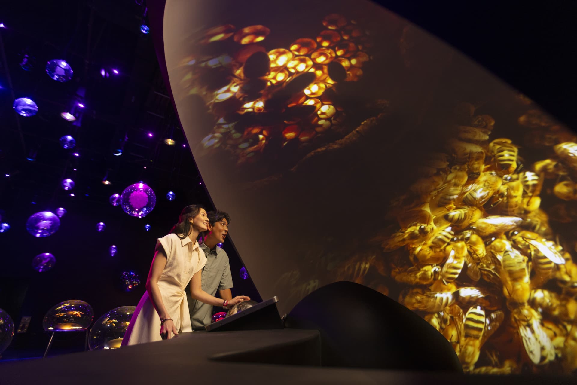 Exploria in Mandai Singapore Ticket - تصویر 4