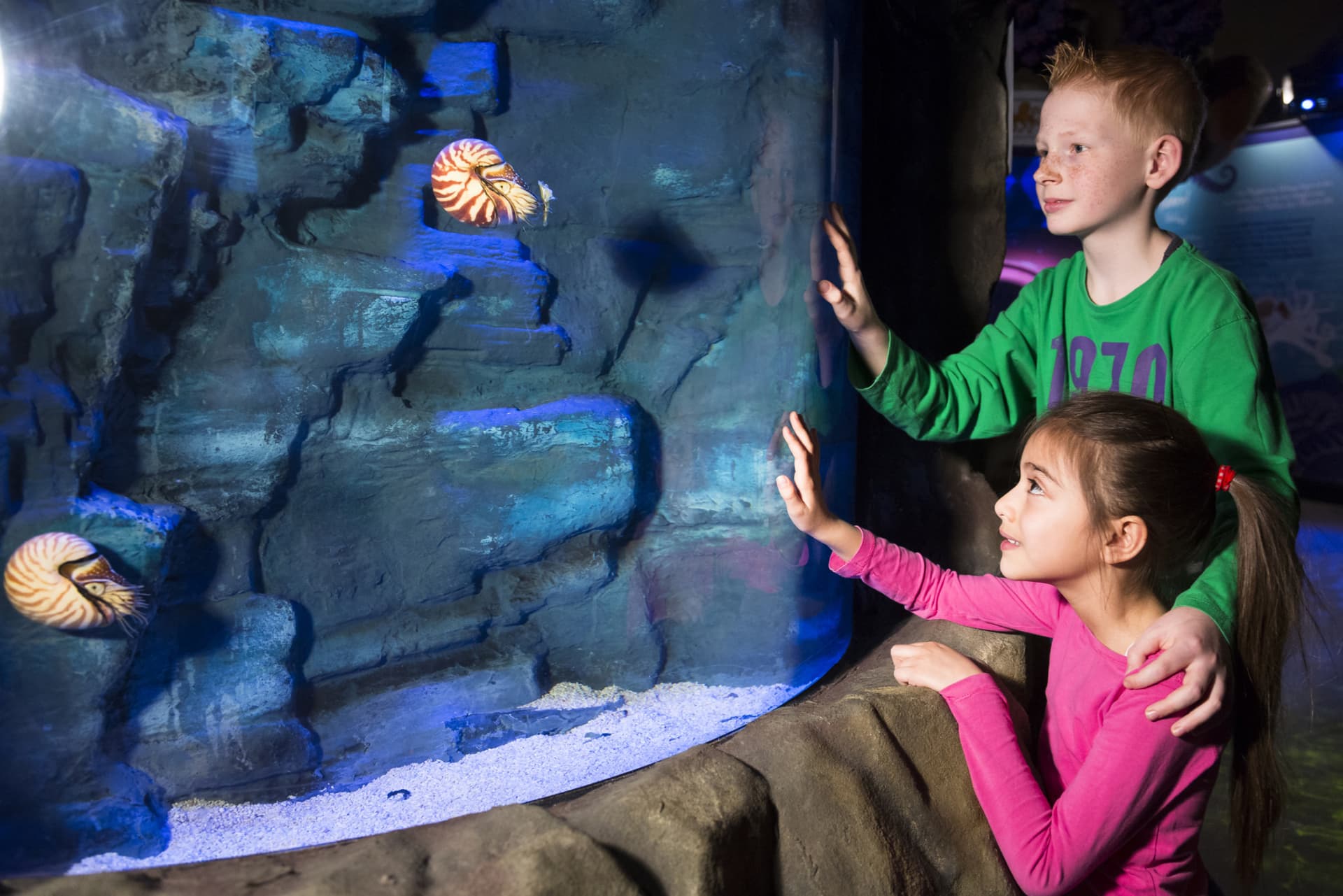 SEA LIFE Hannover Aquarium Ticket - تصویر 6