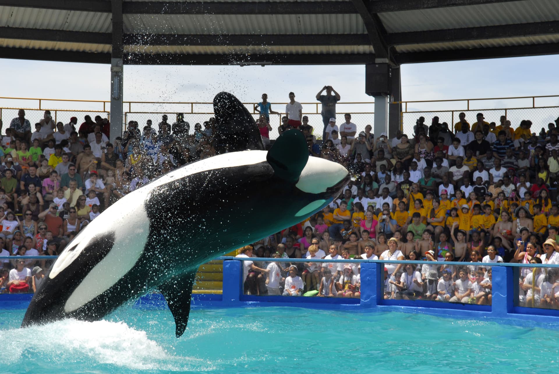 Go City Miami Explorer Pass: Save up to 50% on Attractions - تصویر 24